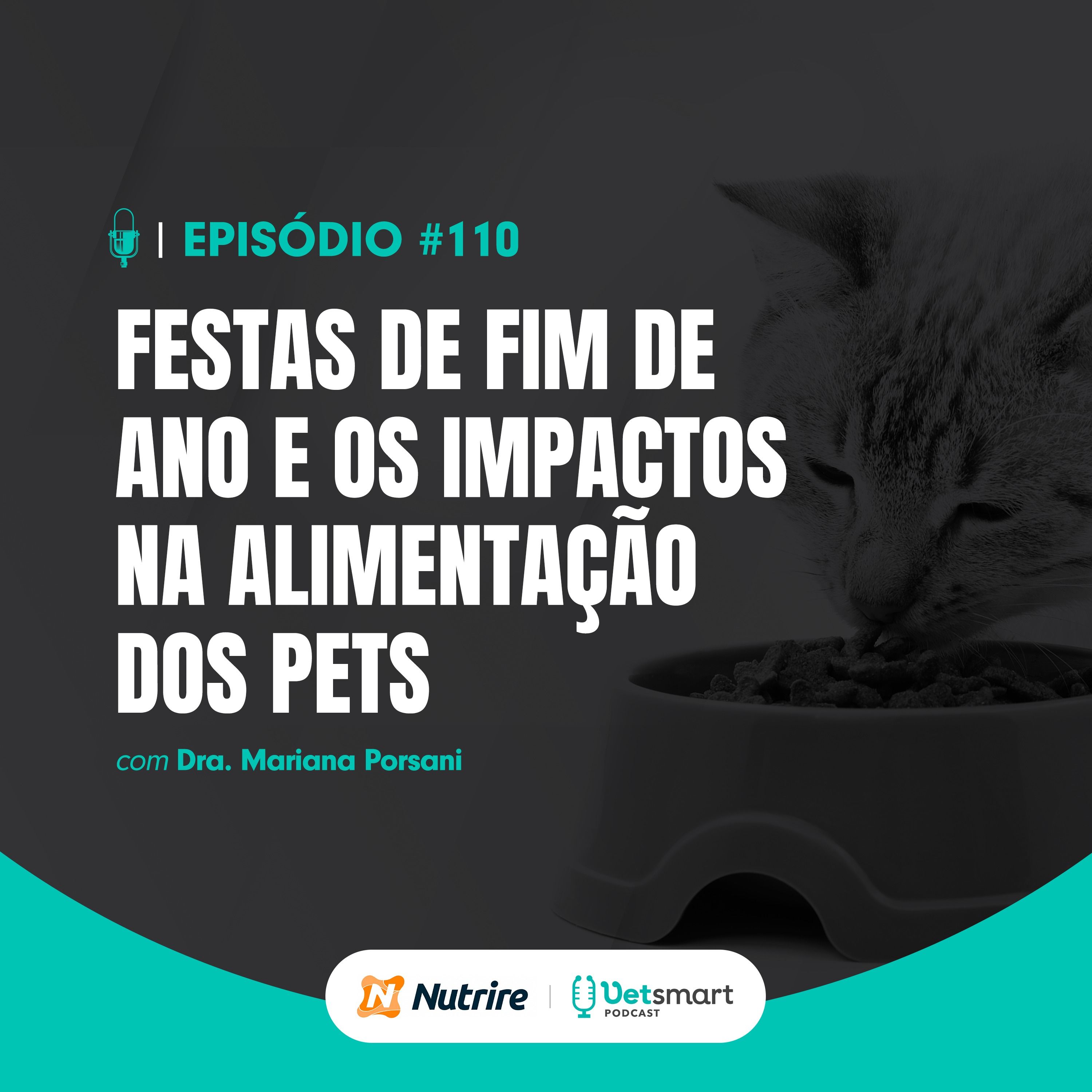 Festas de fim de ano e os impactos na alimentação dos pets
