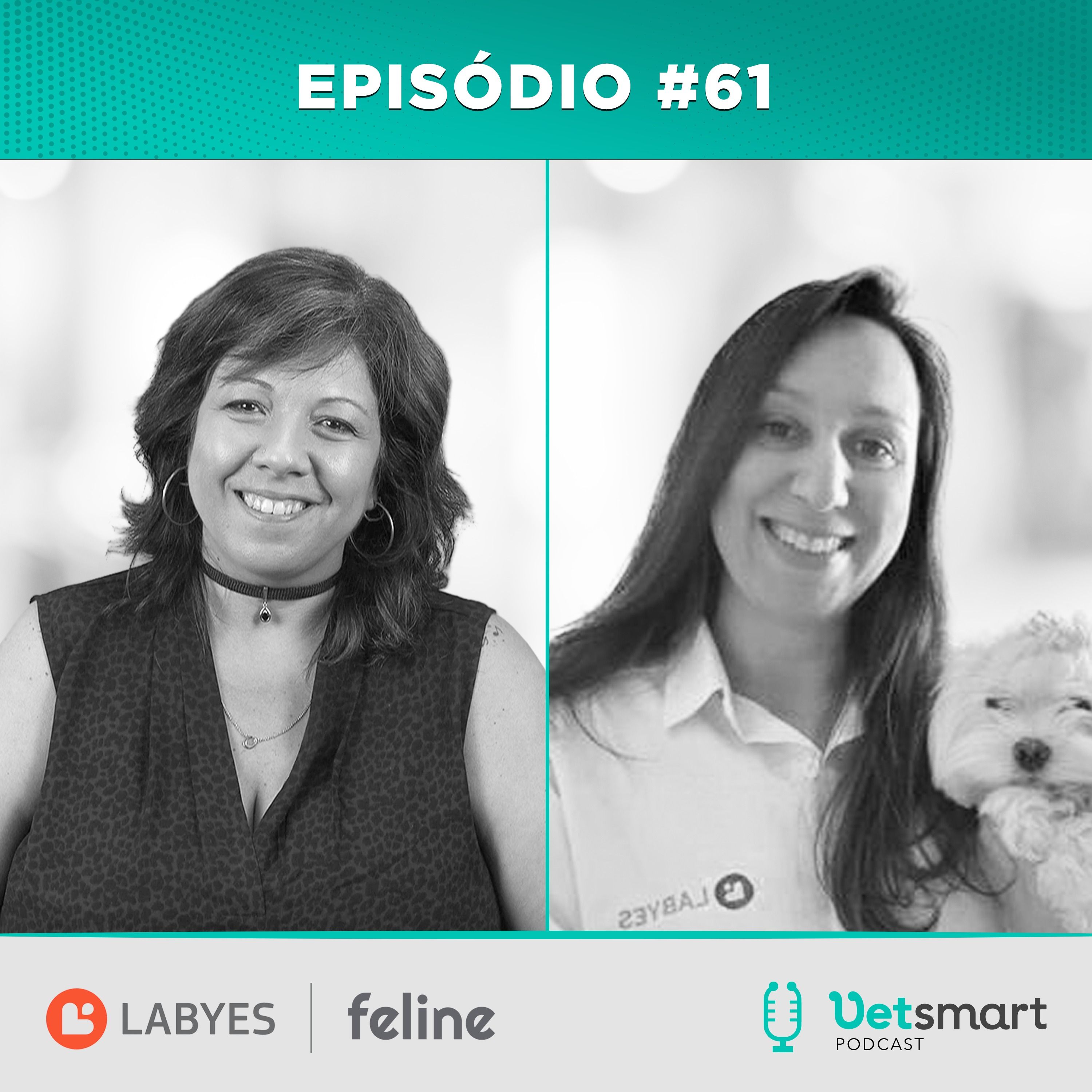 Vet Smart Podcast