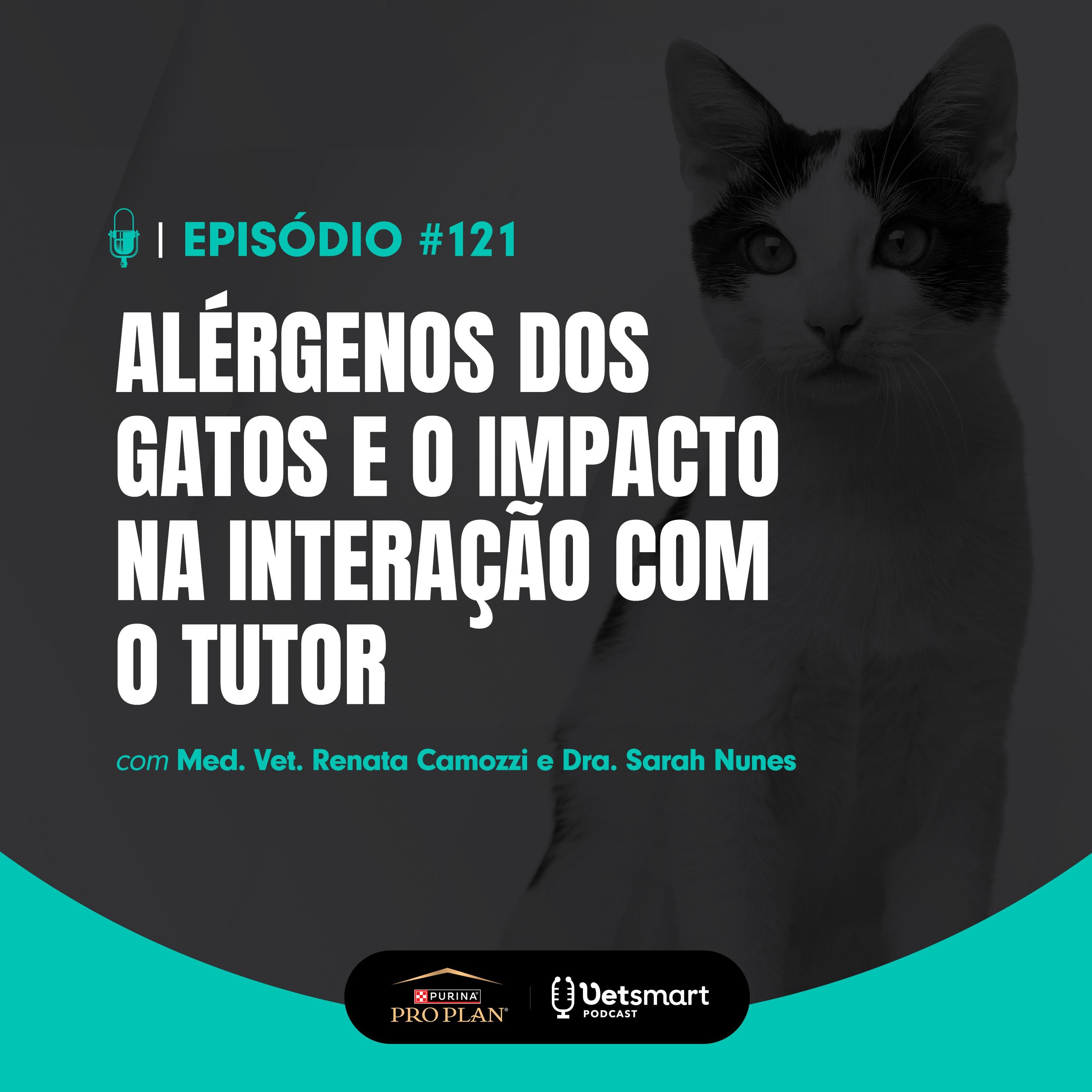 Alérgenos dos gatos e o impacto na interação com o tutor