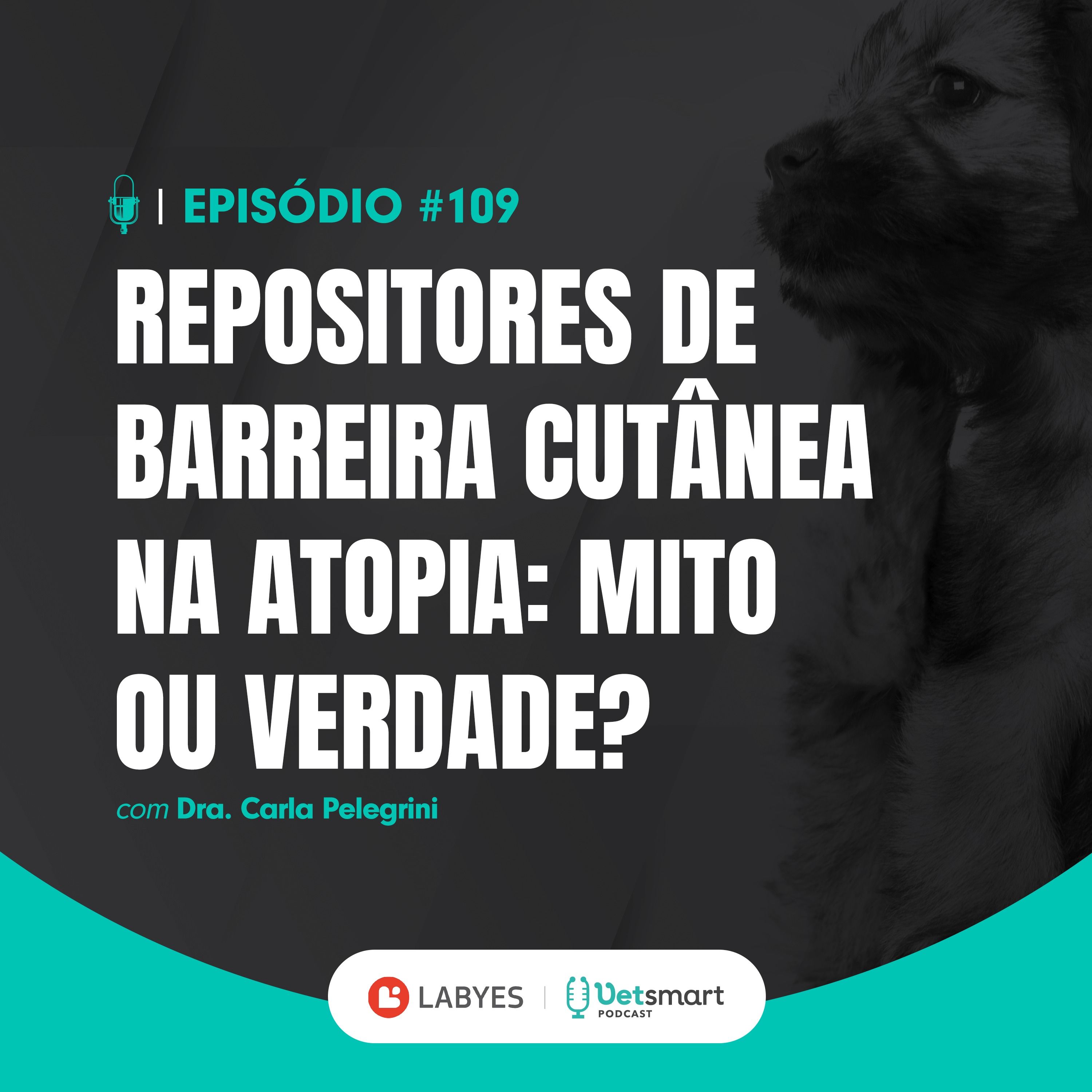 Vet Smart Podcast