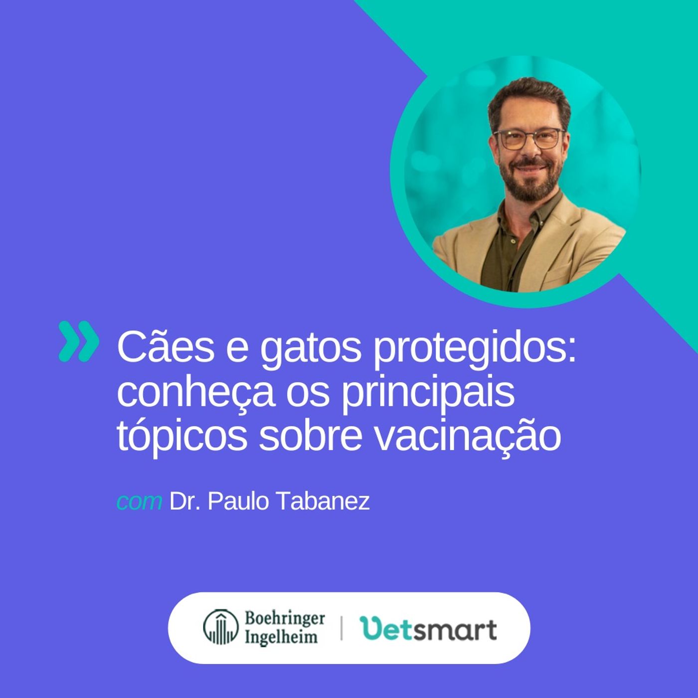 Cães e gatos protegidos: conheça os principais tópicos sobre vacinação