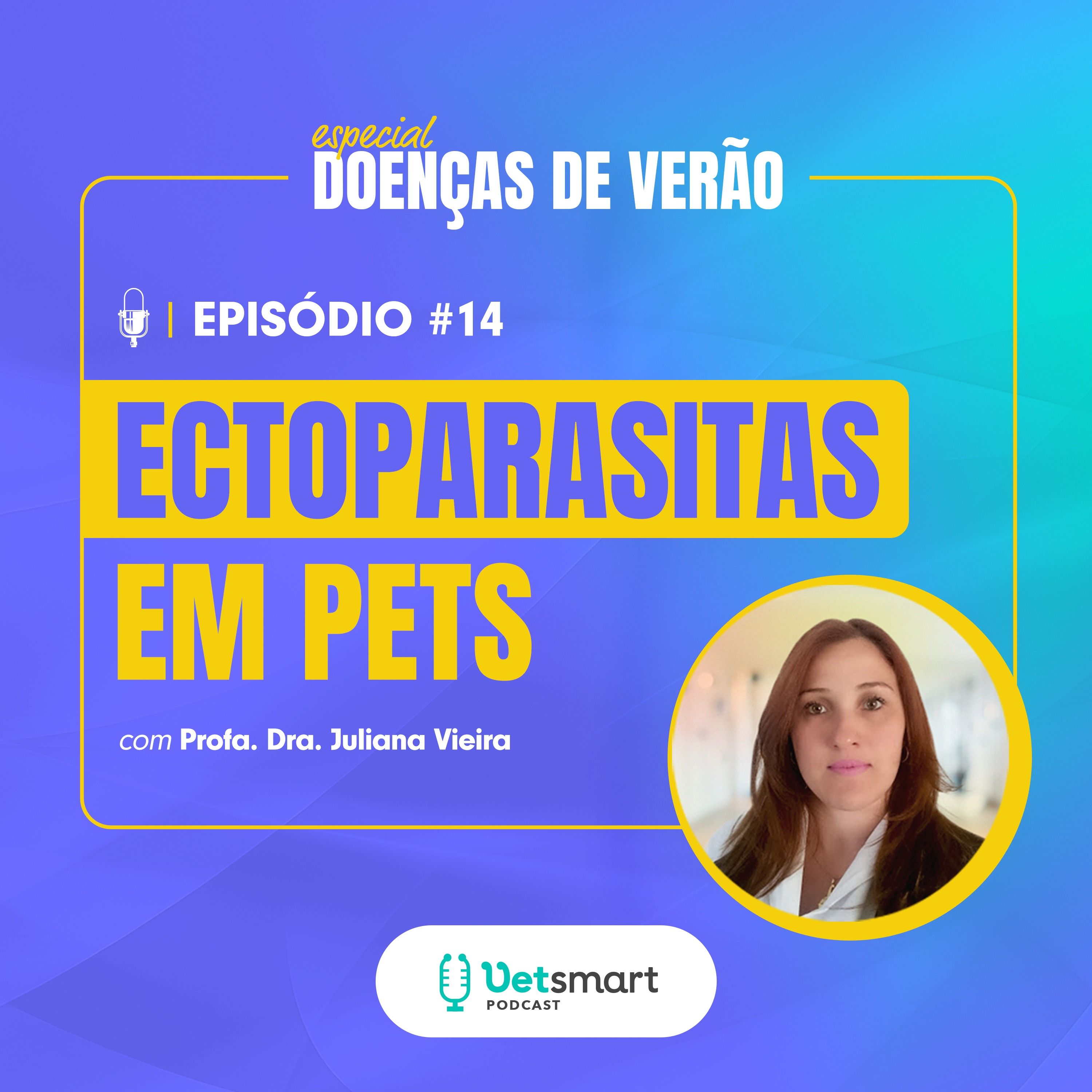 Especial Doenças de Verão: Ectoparasitas em pets