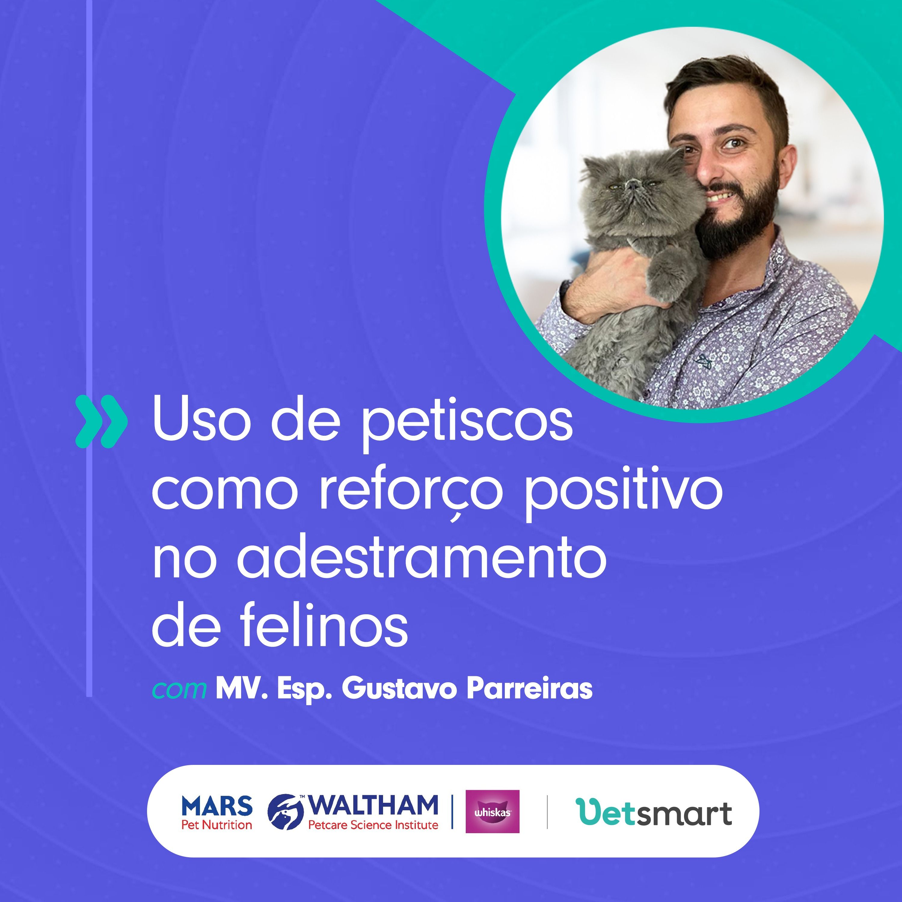 Uso de petiscos como reforço positivo no adestramento de felinos