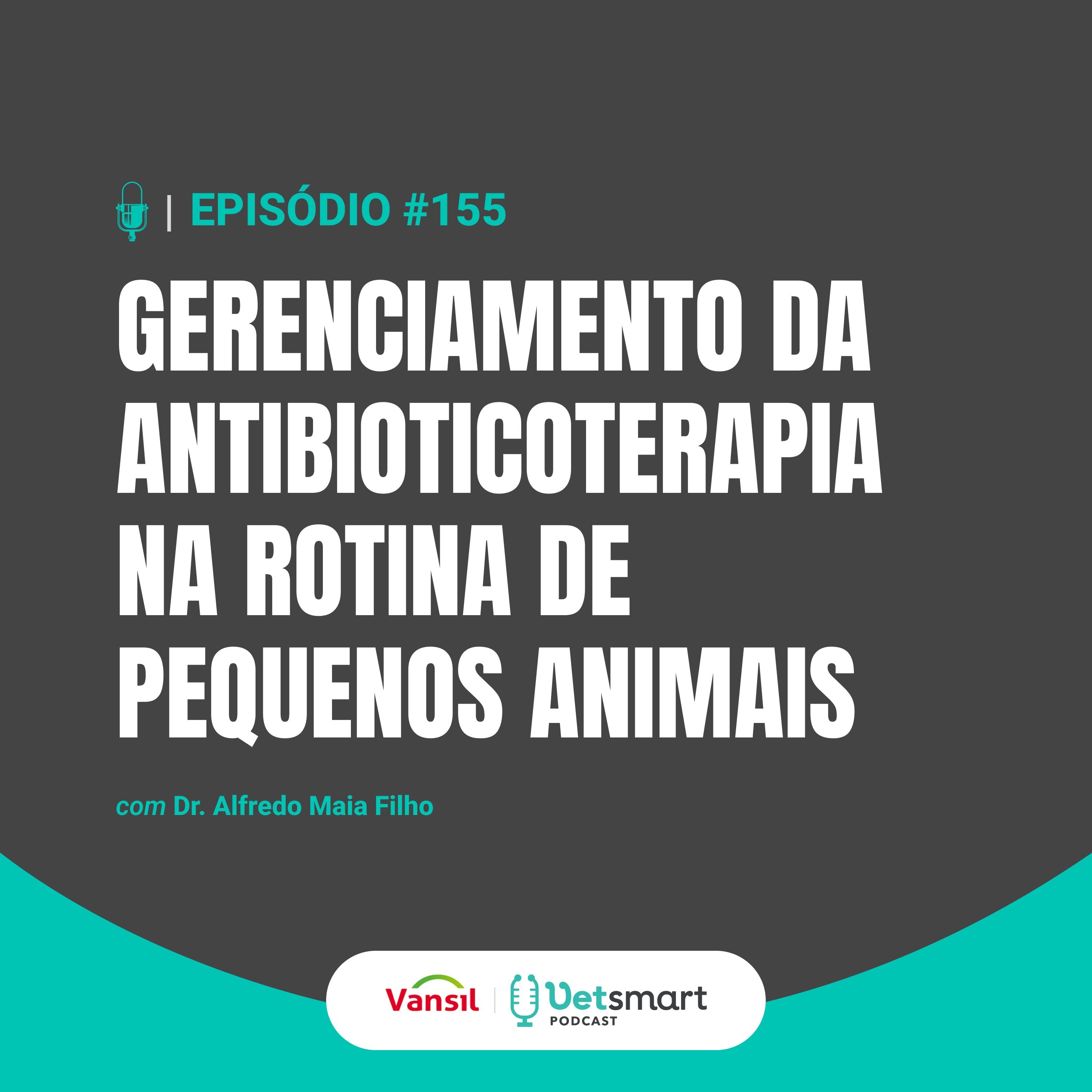 Gerenciamento da antibioticoterapia na rotina de pequenos animais.