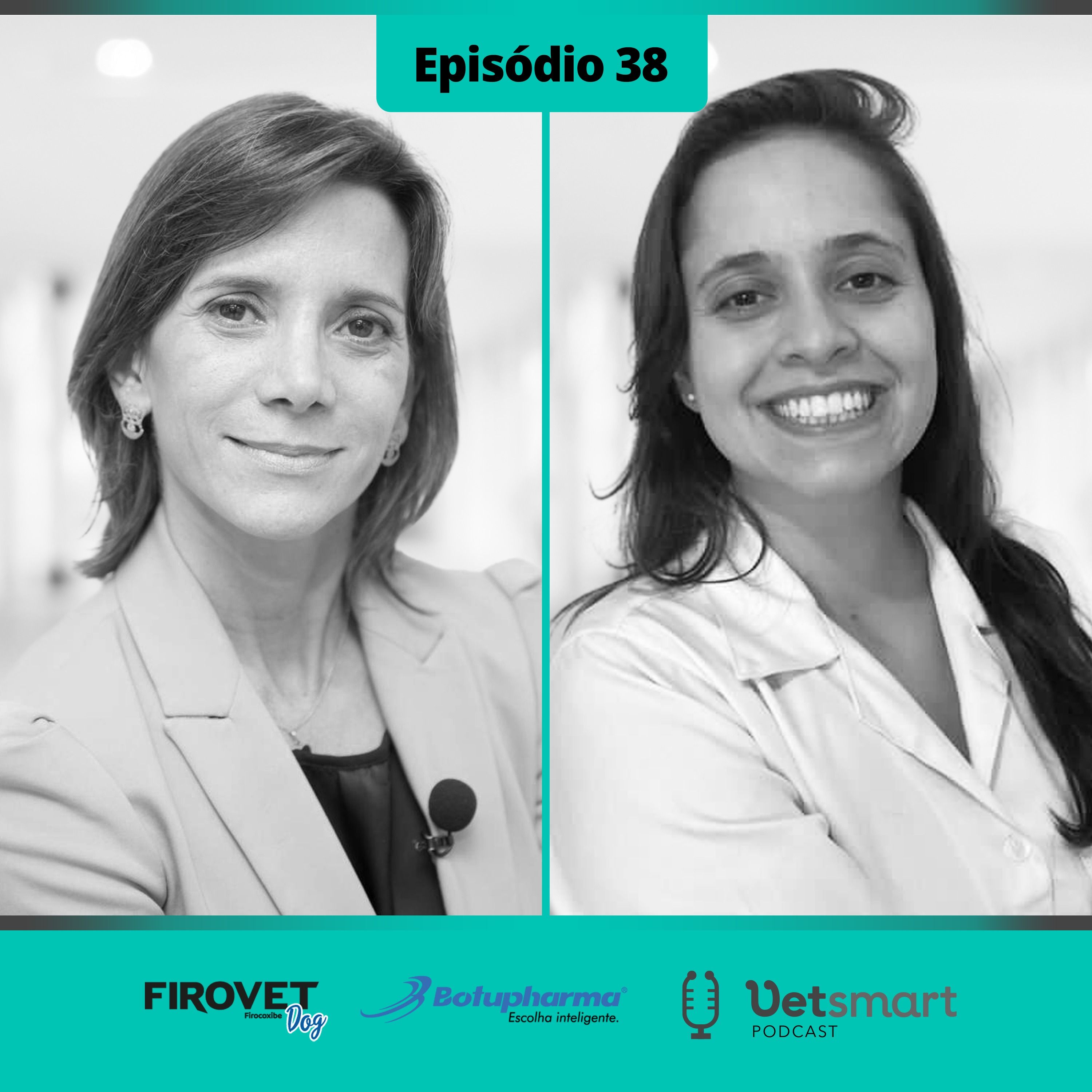 Vet Smart Podcast