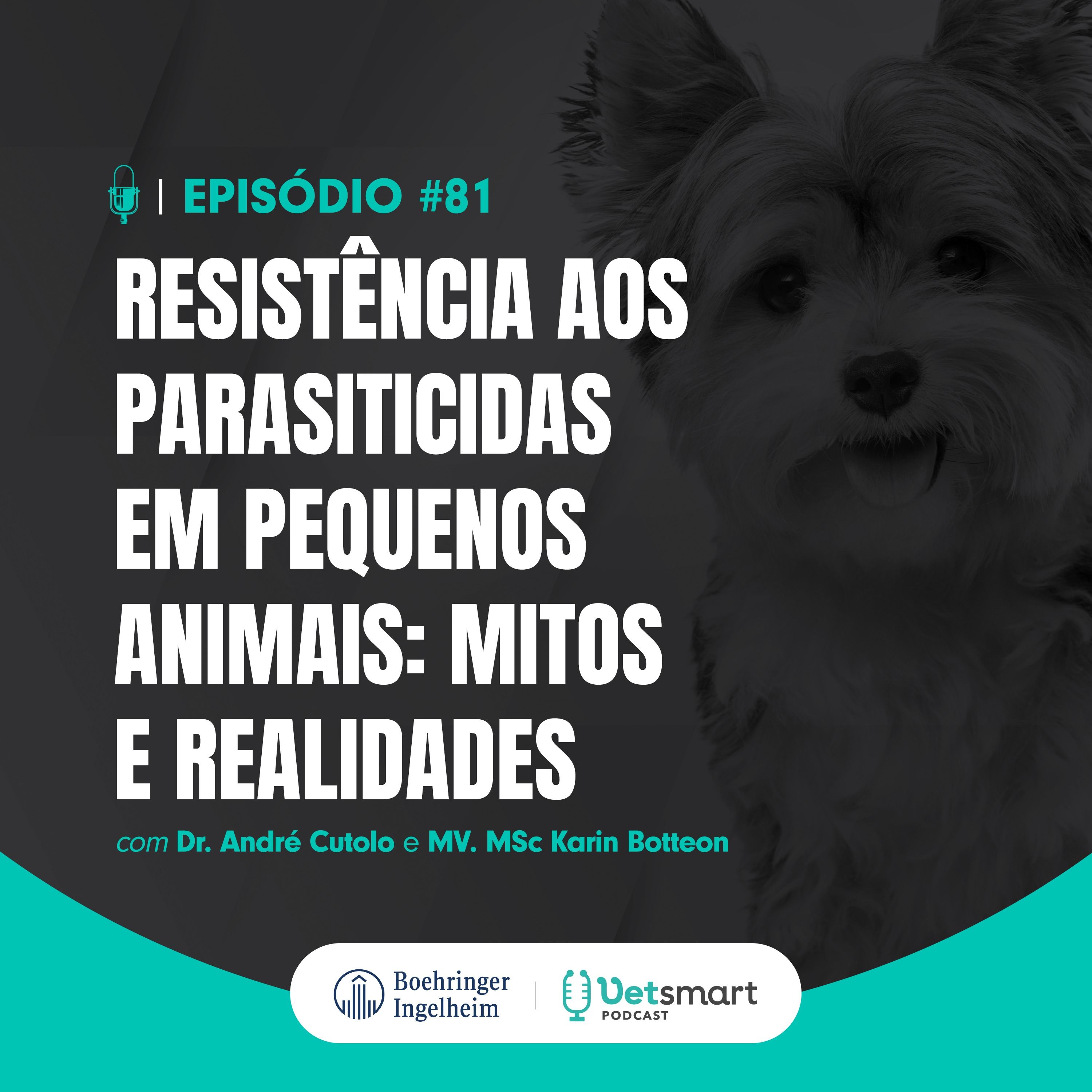 Vet Smart Podcast