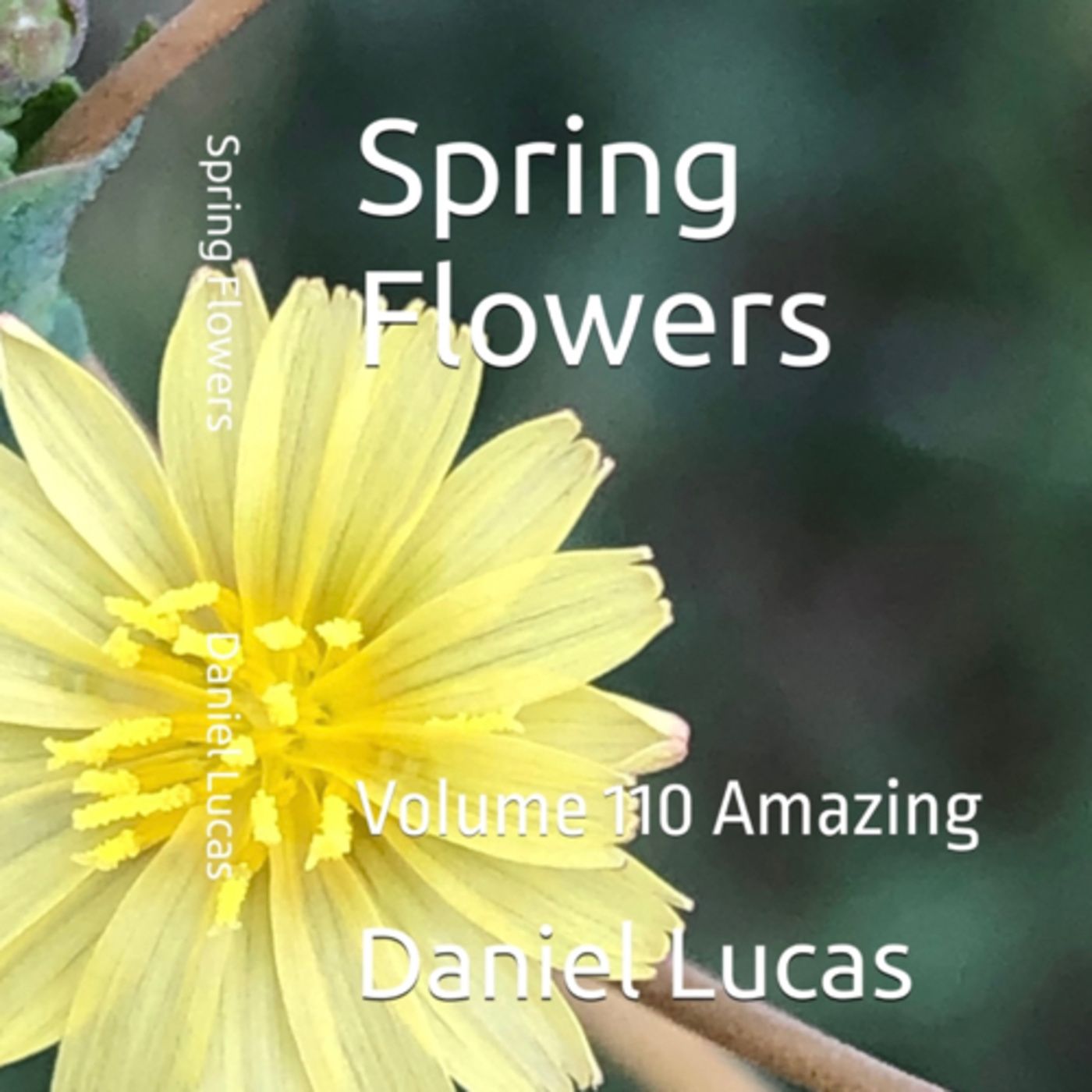 Spring Flowers Volume 110 Amazing by Daniel Lucas episode artwork