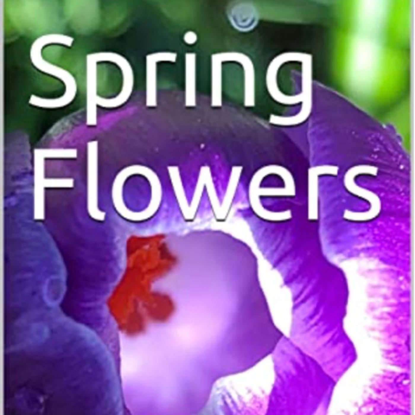 Spring Flowers Volume 56 Fancy by Daniel Lucas episode artwork