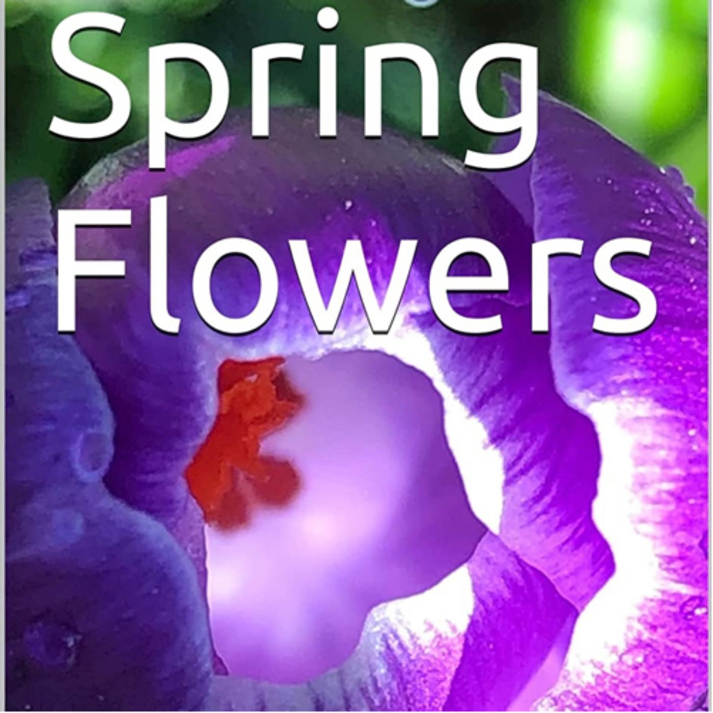 Spring Flowers Volume 56 Fancy by Daniel Lucas episode artwork