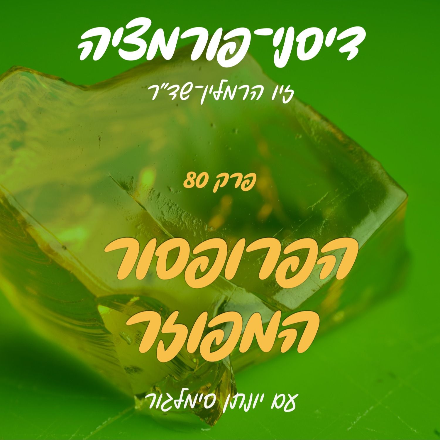 פרק 80 - הפרופסור המפוזר (פלאבר) עם יונתן סימלגור episode artwork