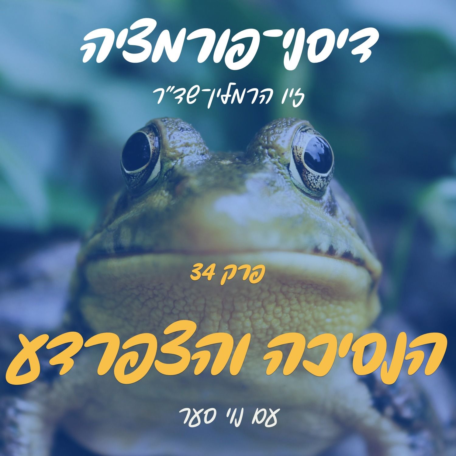 פרק 34 - הנסיכה והצפרדע עם נוי סער episode artwork