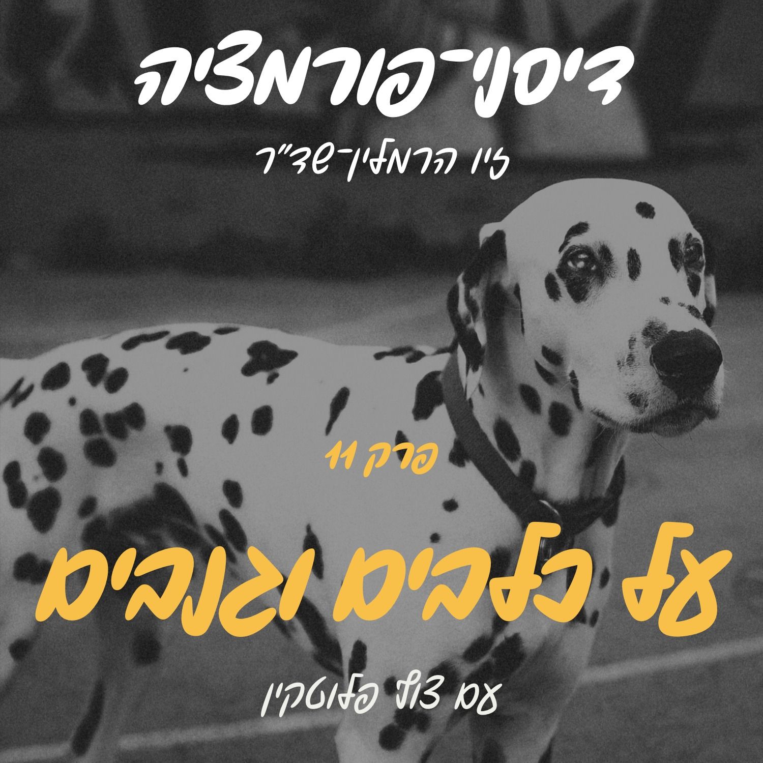 פרק 11 - על כלבים וגנבים עם צוף פלוטקין episode artwork