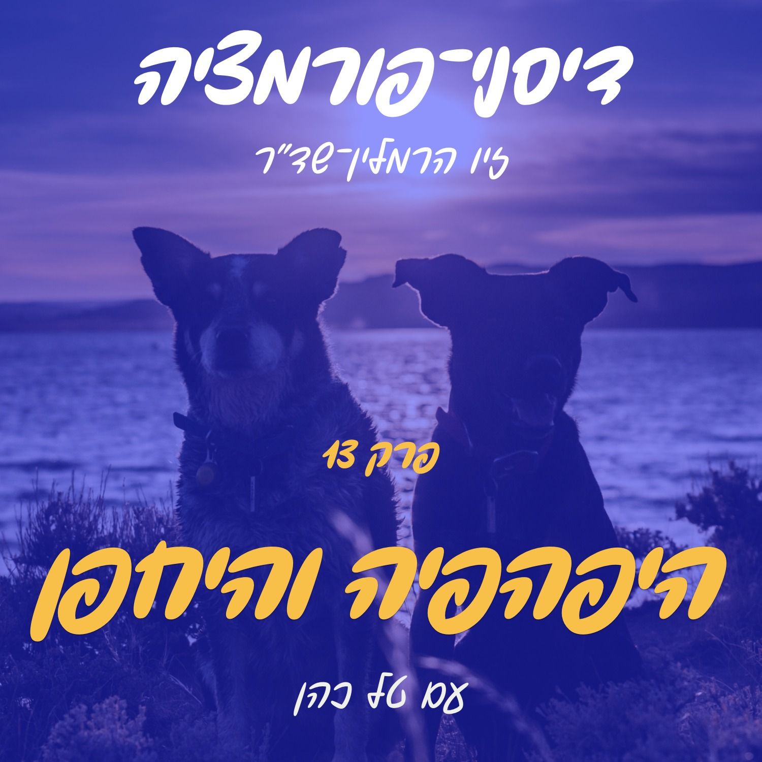 פרק 13 - היפהפיה והיחפן עם טל כהן episode artwork