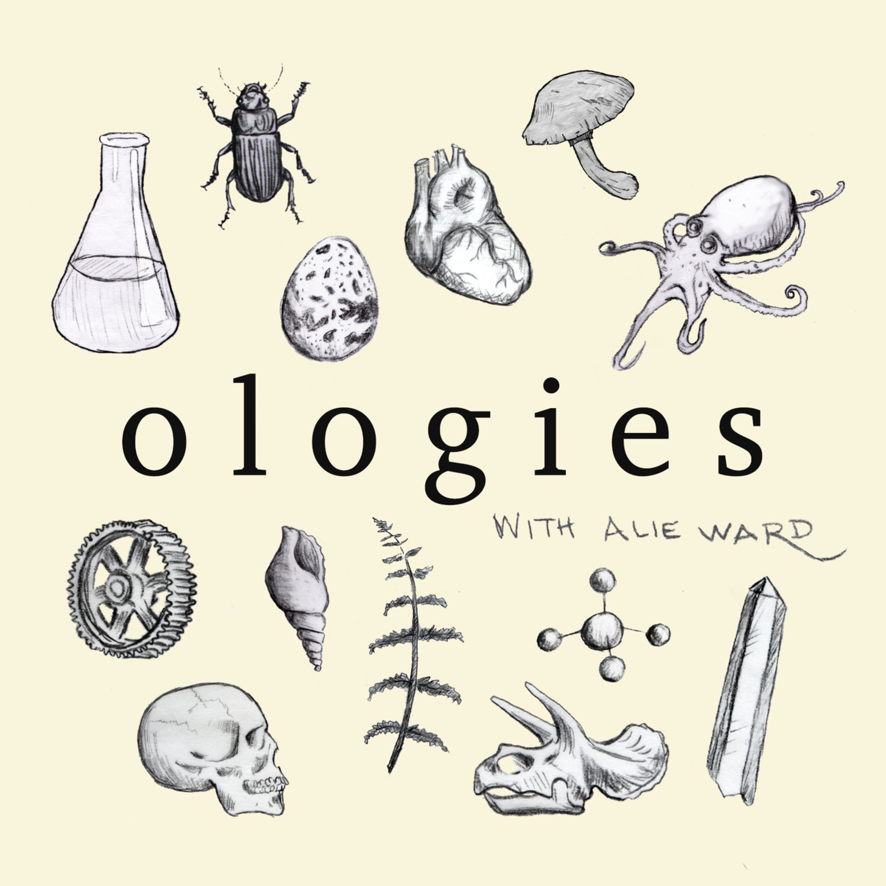 Ologies with Alie Ward - podcast cover