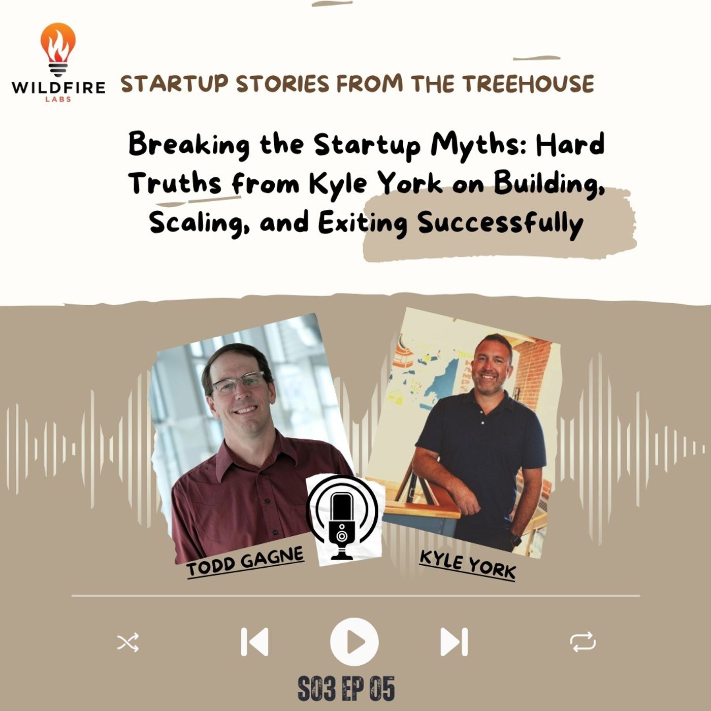 Startup Stories from the Treehouse