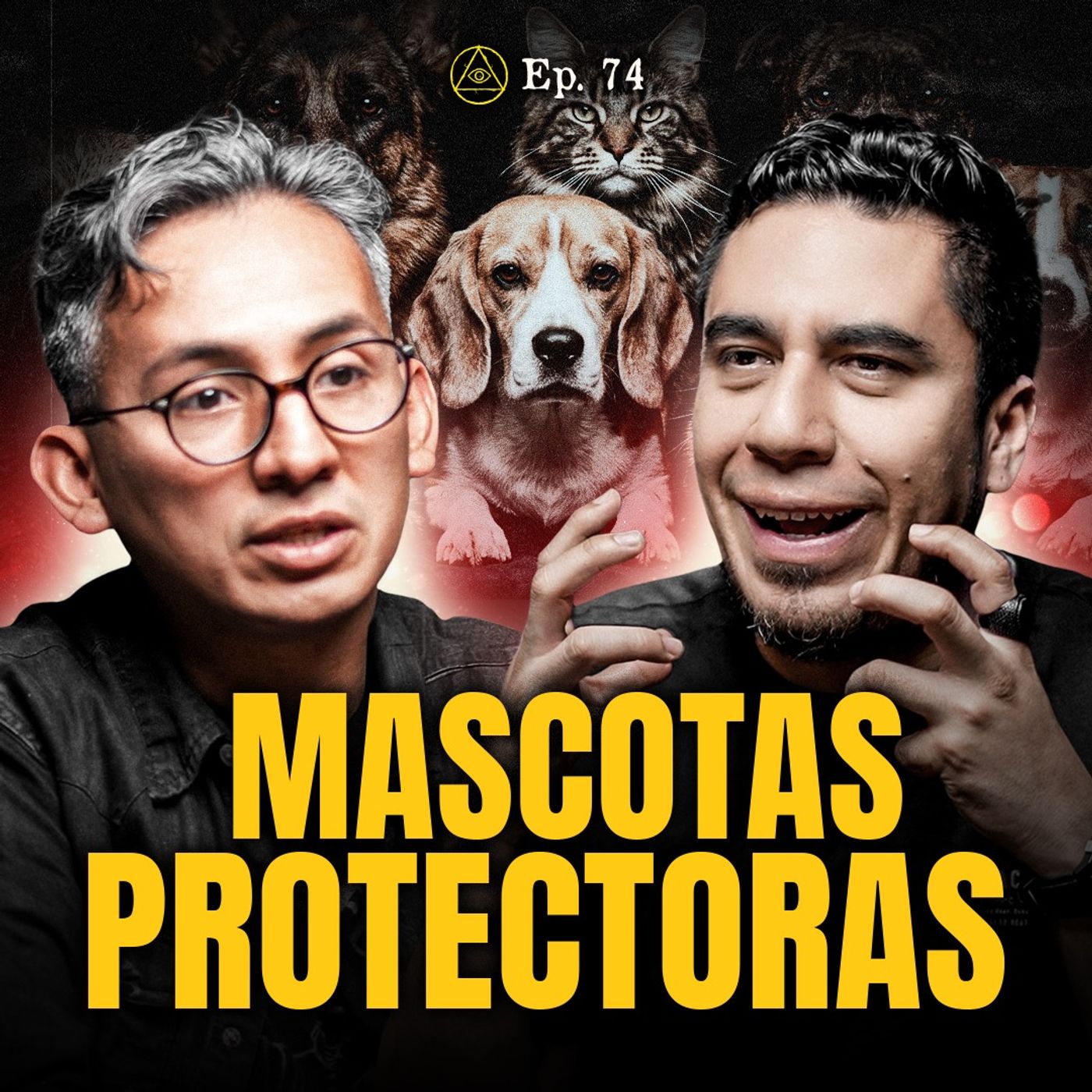 ¿TU MASCOTA ES UN MAESTRO ESPIRITUAL? EL VÍNCULO SOBRENATURAL CON LOS ANIMALES