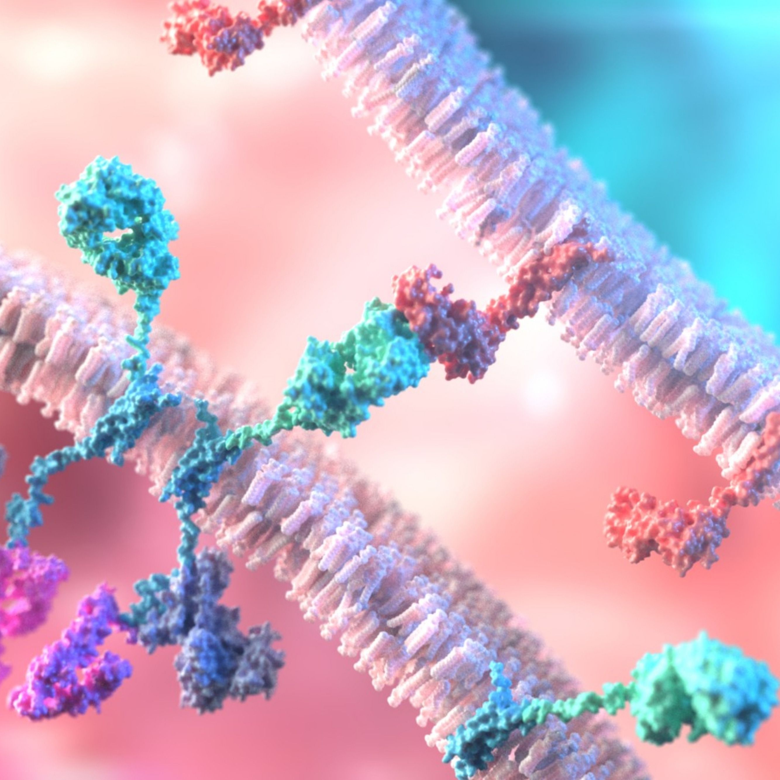 Procopio Perspectives