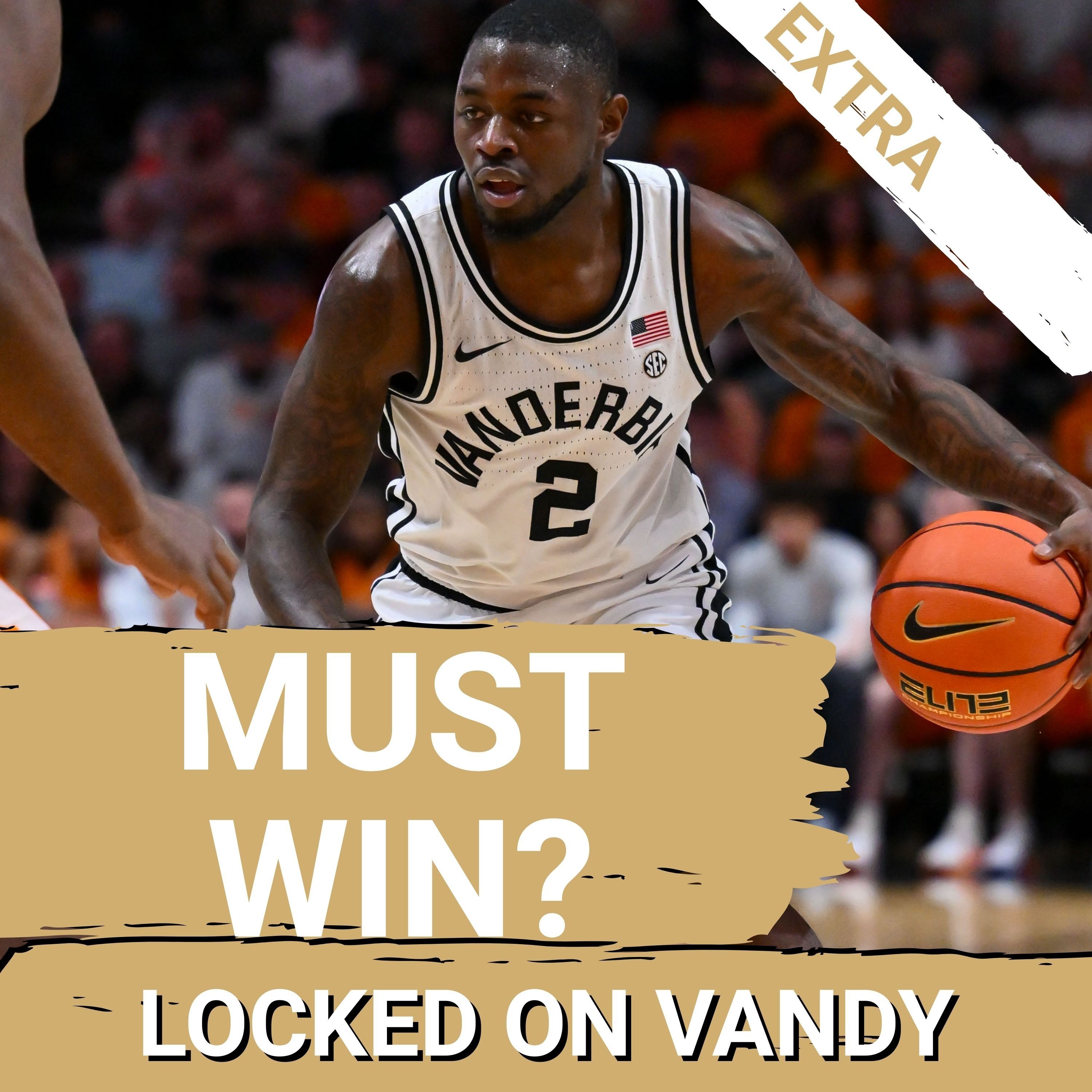 ANALYSIS: Vandy Hoops Must HALT this Skid vs  the Georgia Bulldogs