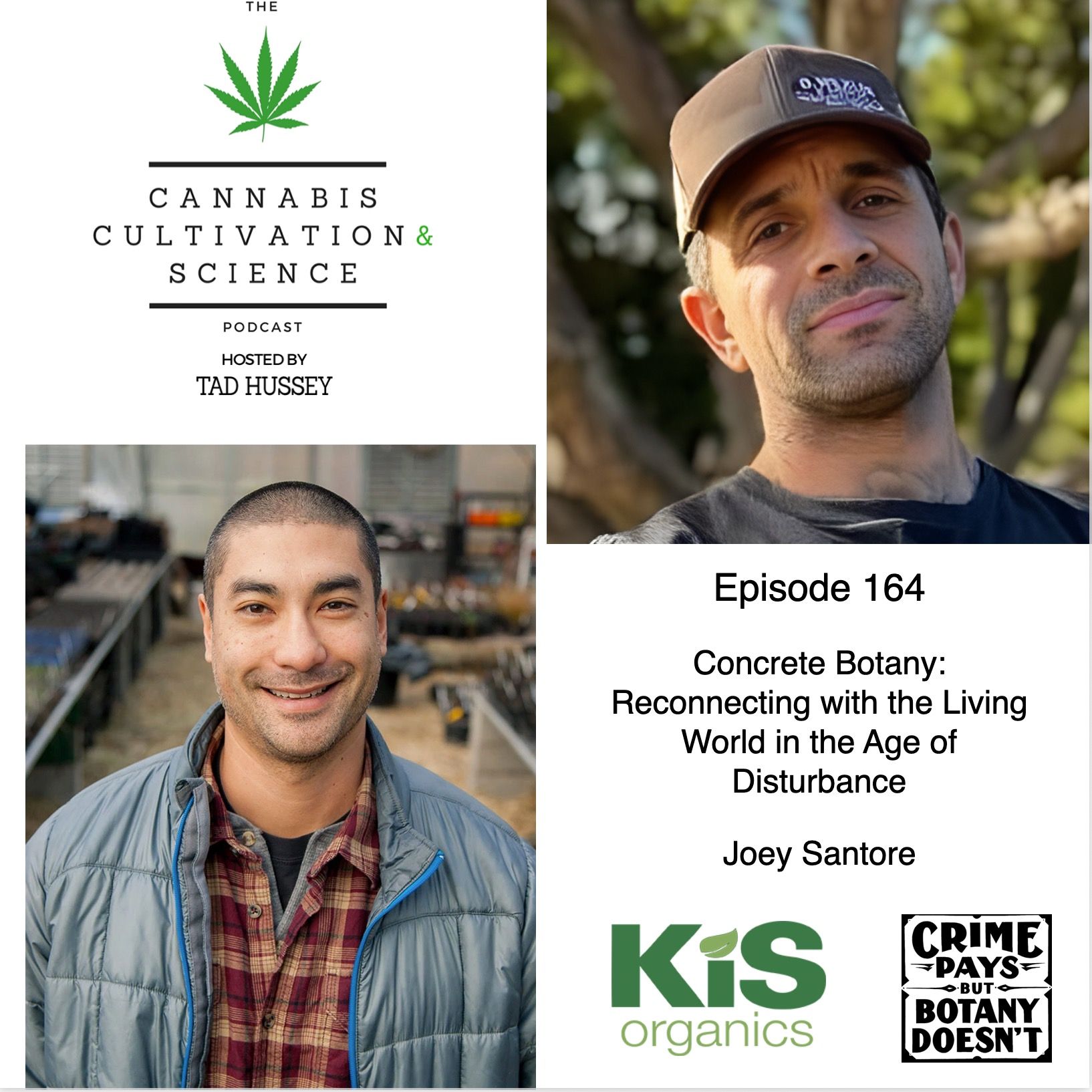 Episode 163: Concrete Botany: Reconnecting with the Living World in the Age of Disturbance with Joey Santore