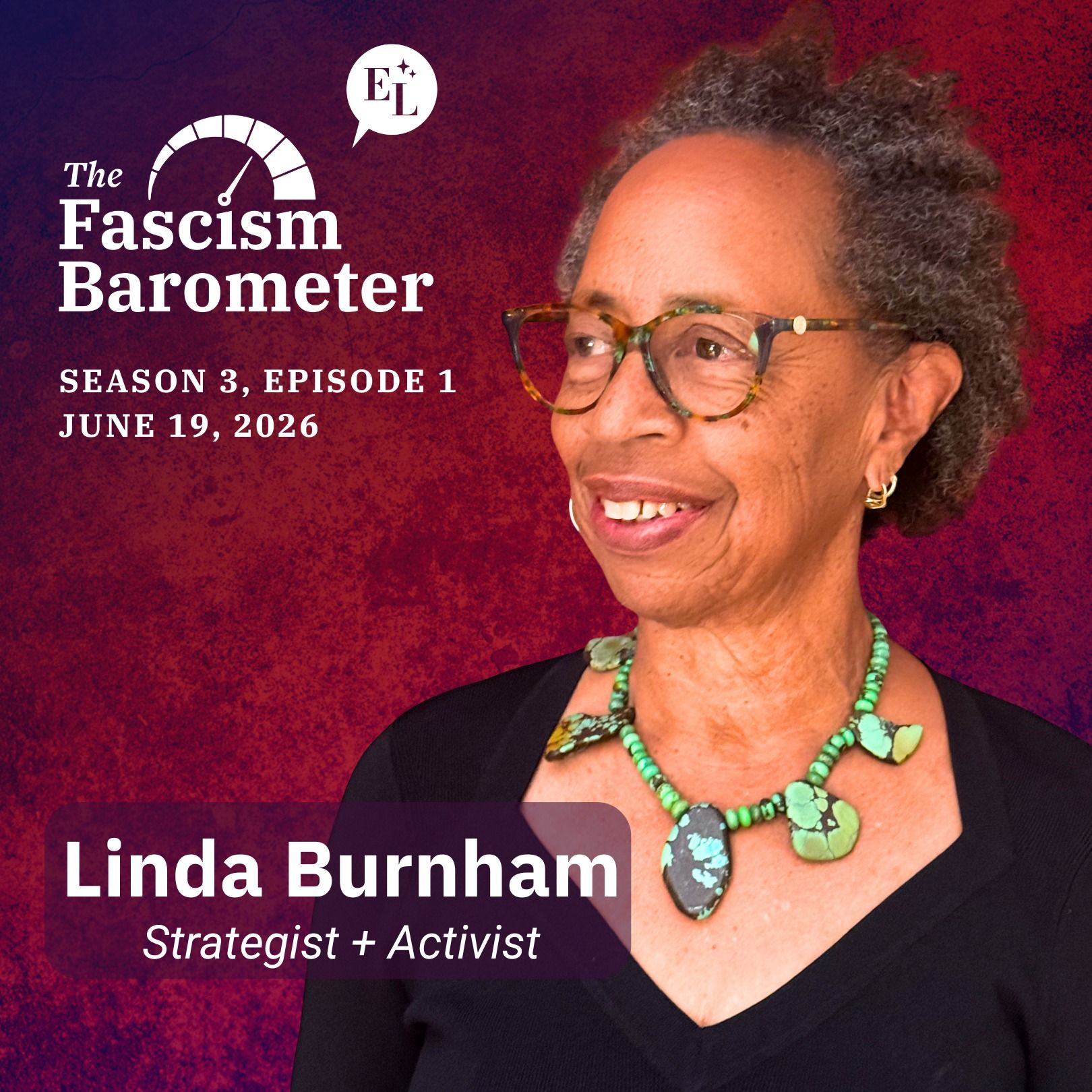 How We Grow Our Power with Linda Burnham episode artwork