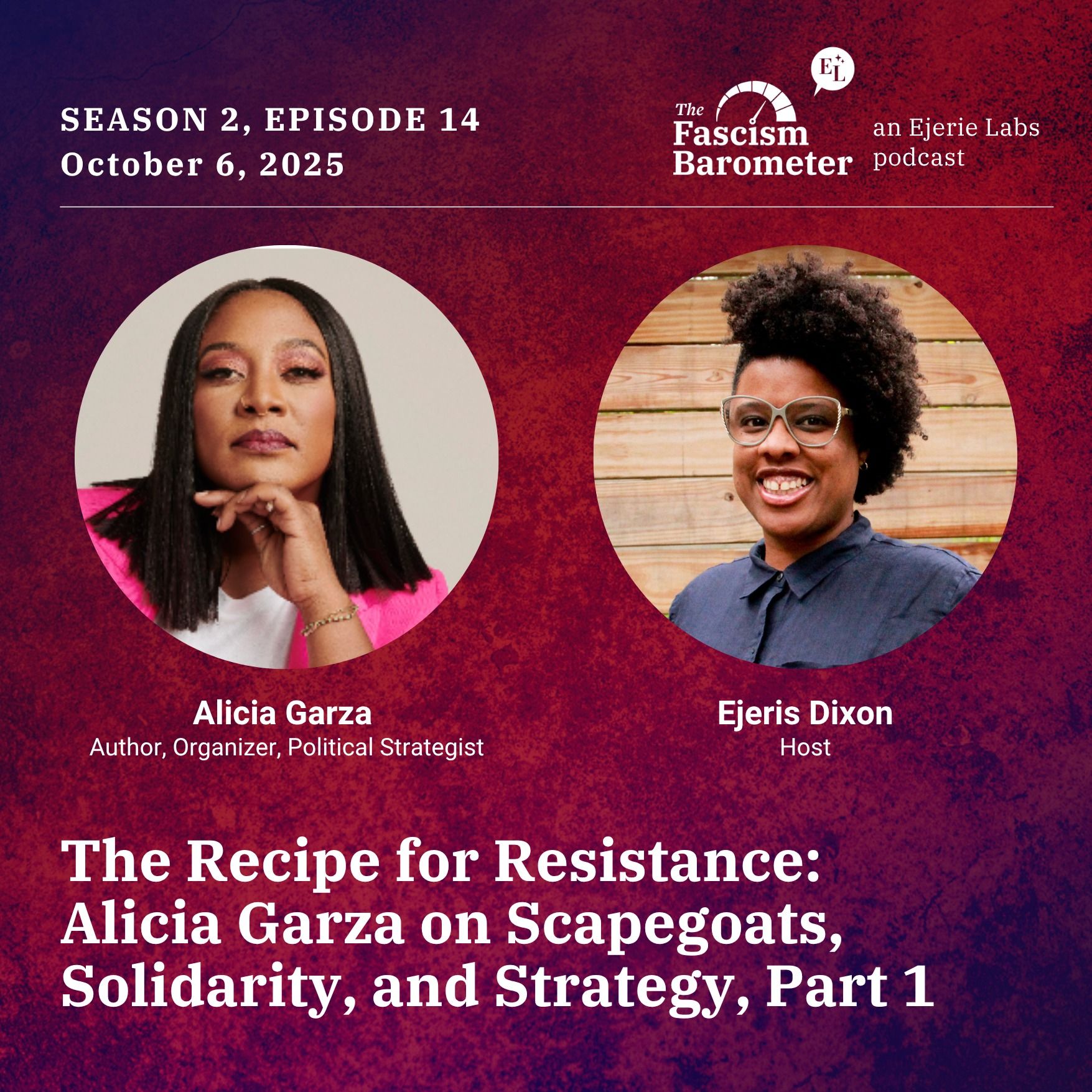 The Recipe for Resistance: Alicia Garza on Scapegoats, Solidarity, and Strategy, Part 1