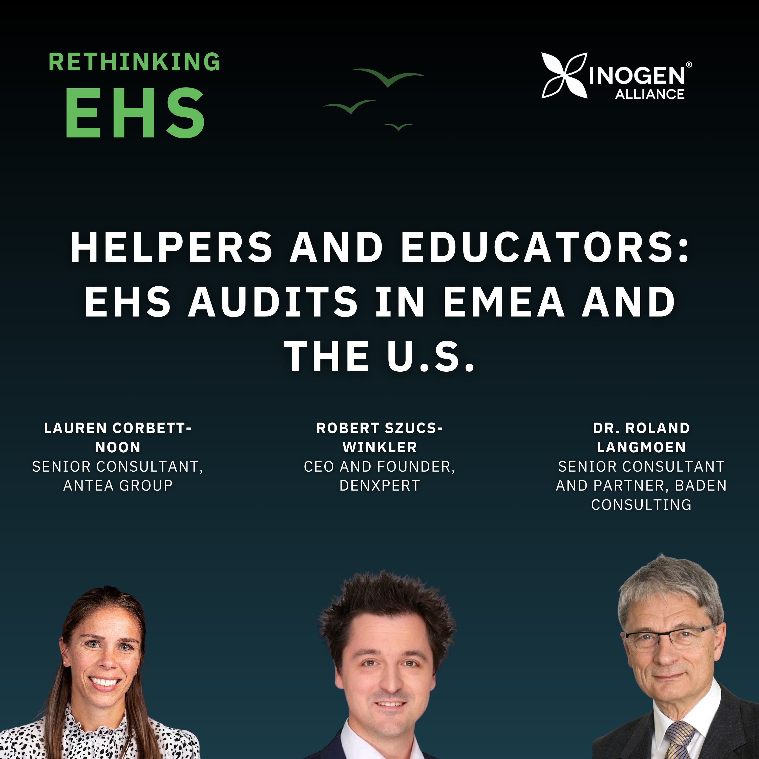 Helpers and Educators: EHS Audits in EMEA and the U.S.