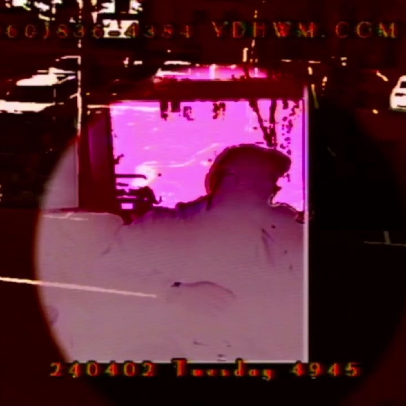YDHWM 4945 Yellow Fellow Death 240402 Tuesday