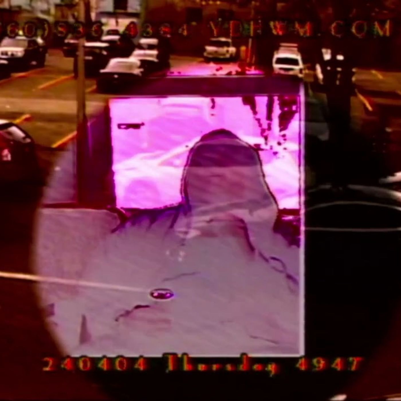 YDHWM 4947 Berd Death 240404 Thursday