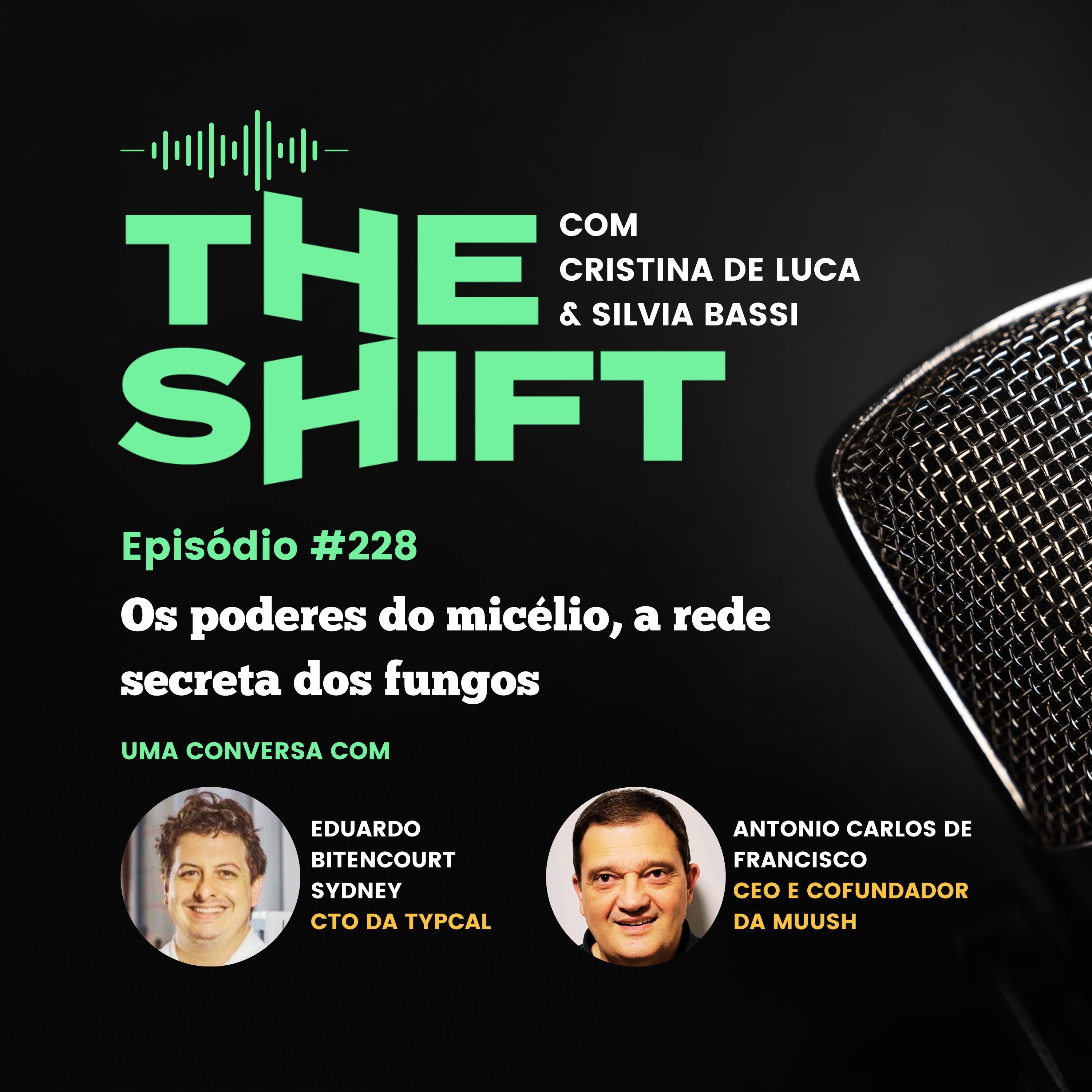 Os poderes do micélio, a rede secreta dos fungos