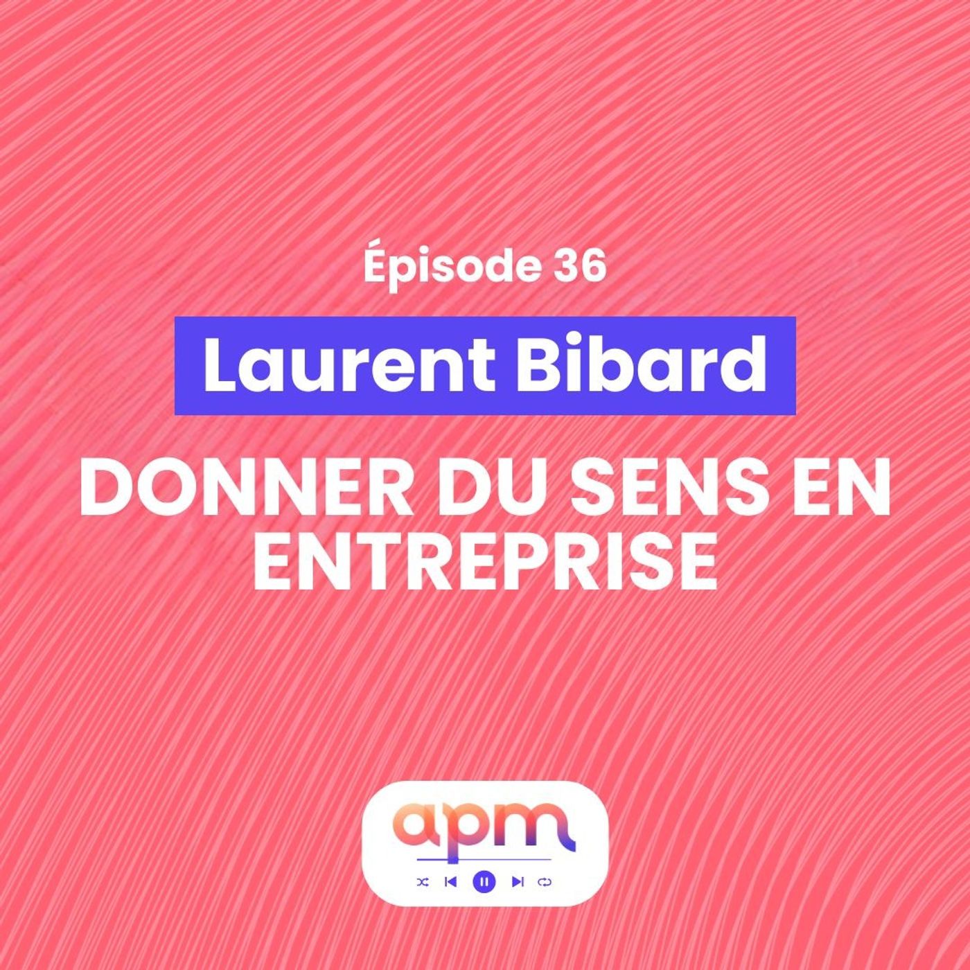 Apm Le Podcast