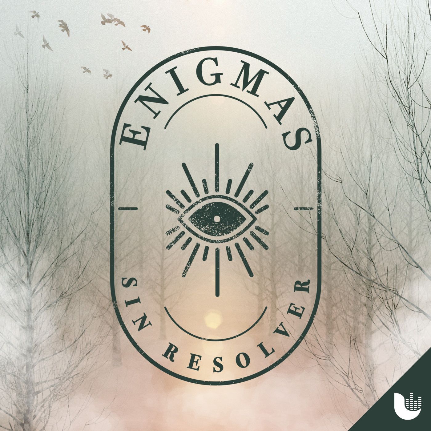 Testimoniales Enigmáticos