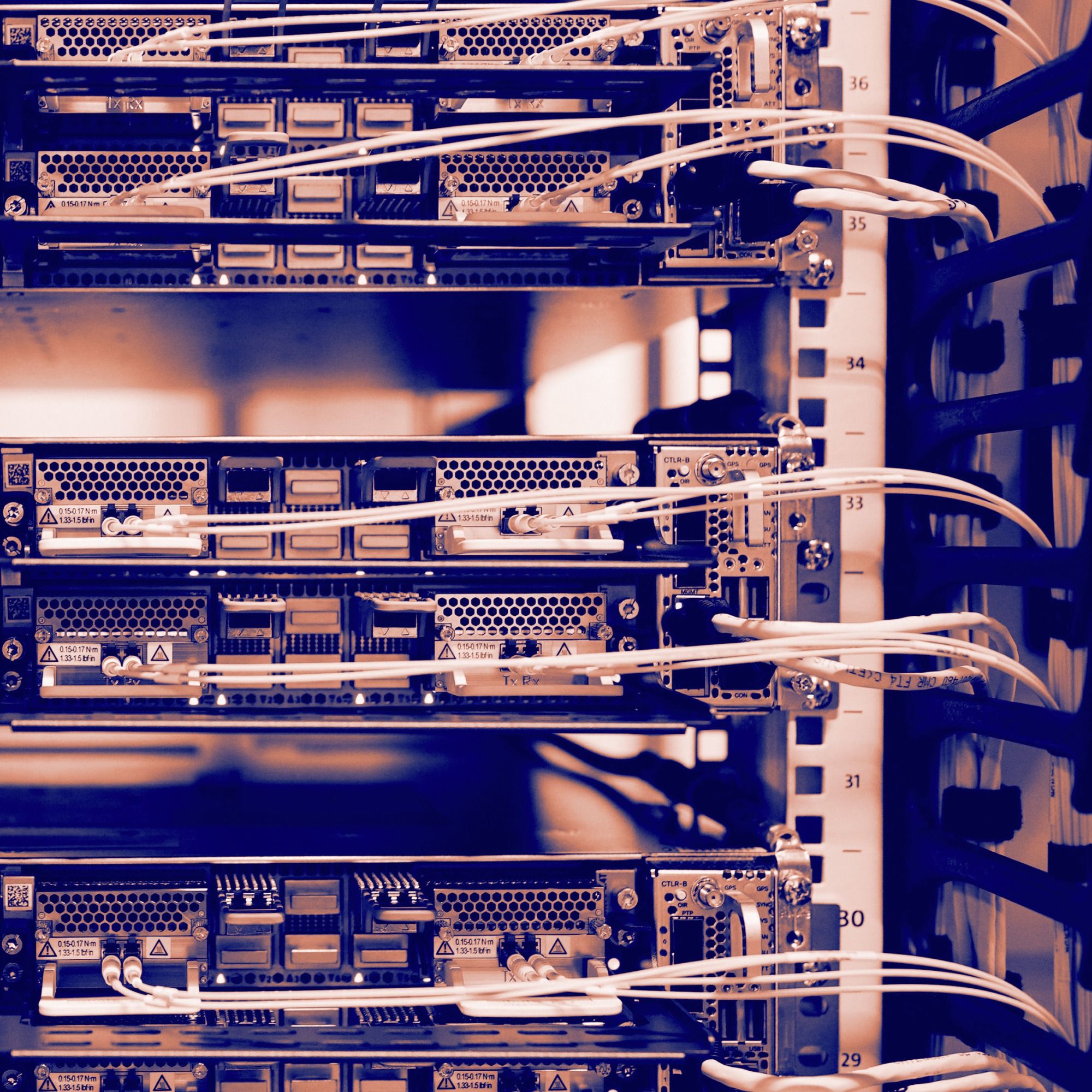 We Can Survive an A.I. Bust