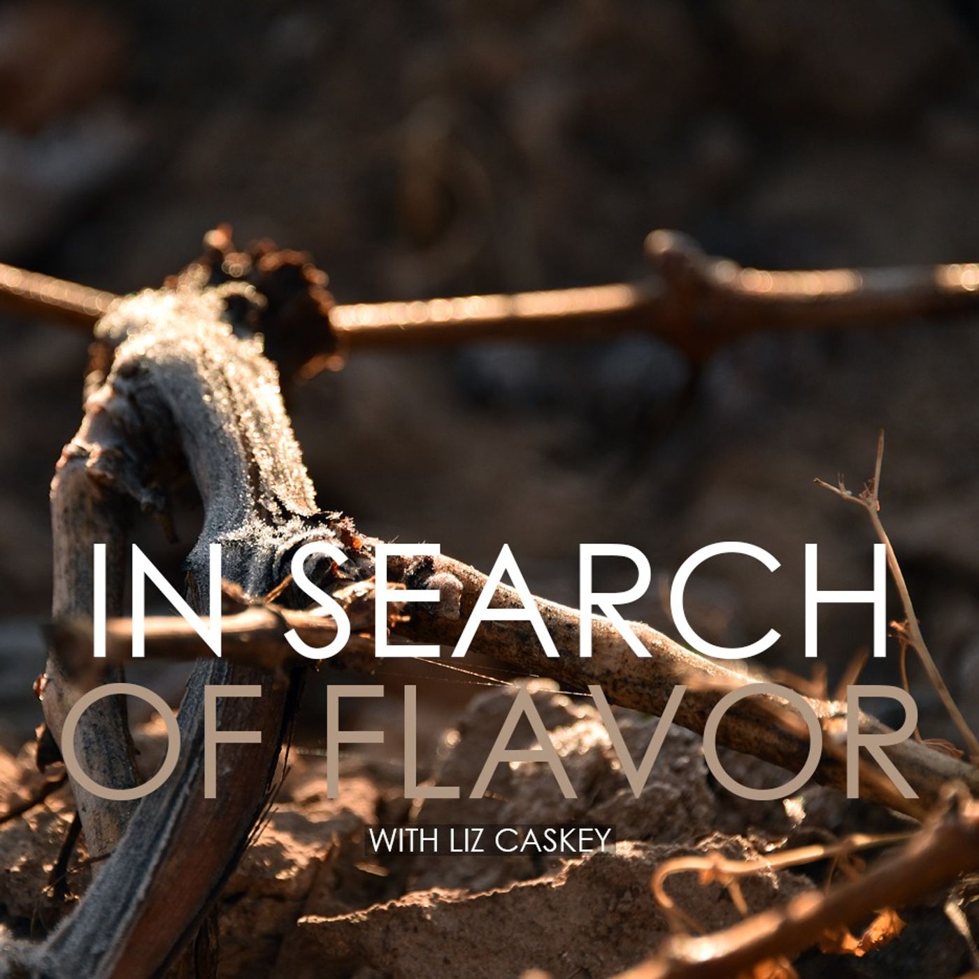 In Search of Flavor