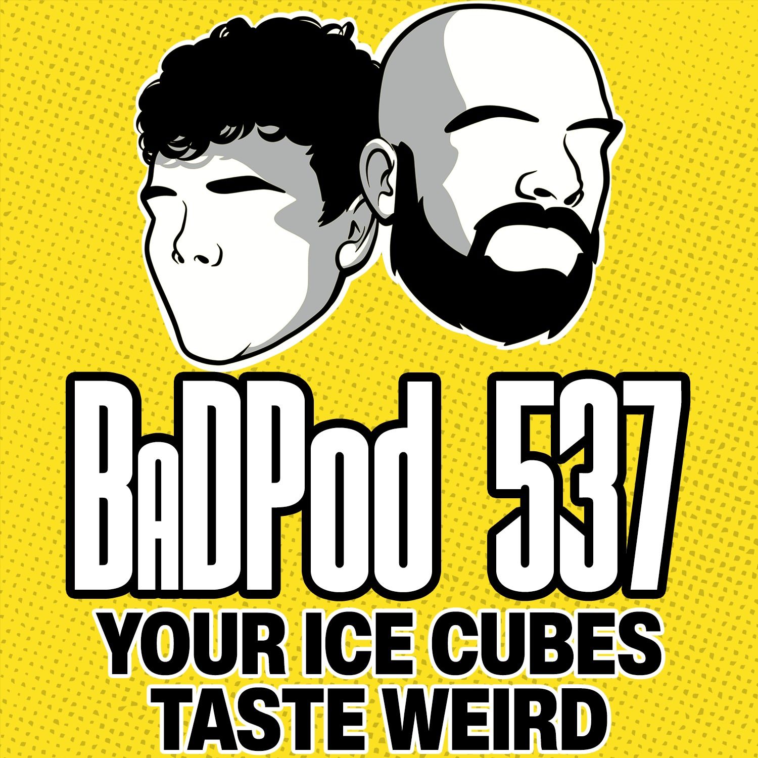 BaDPod 537 - Your Ice Cubes Taste Weird