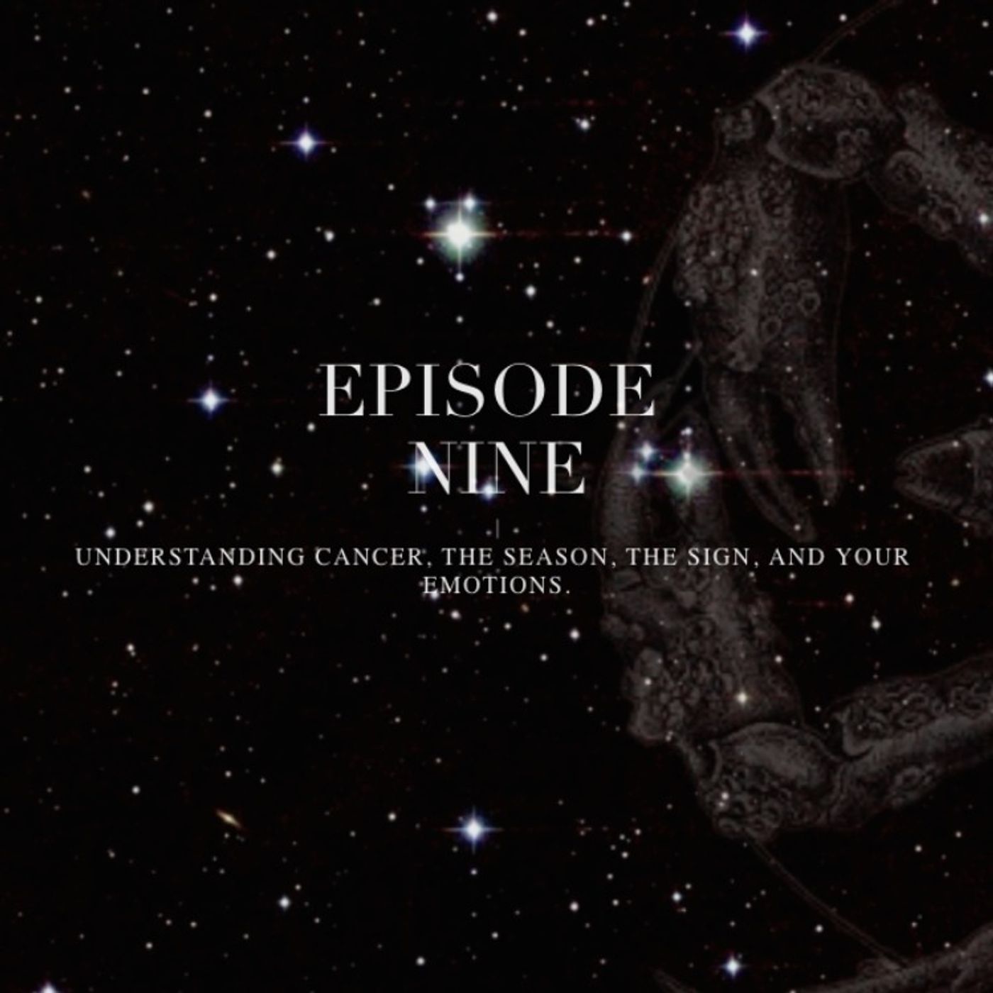 The Rose Theodora Podcast
