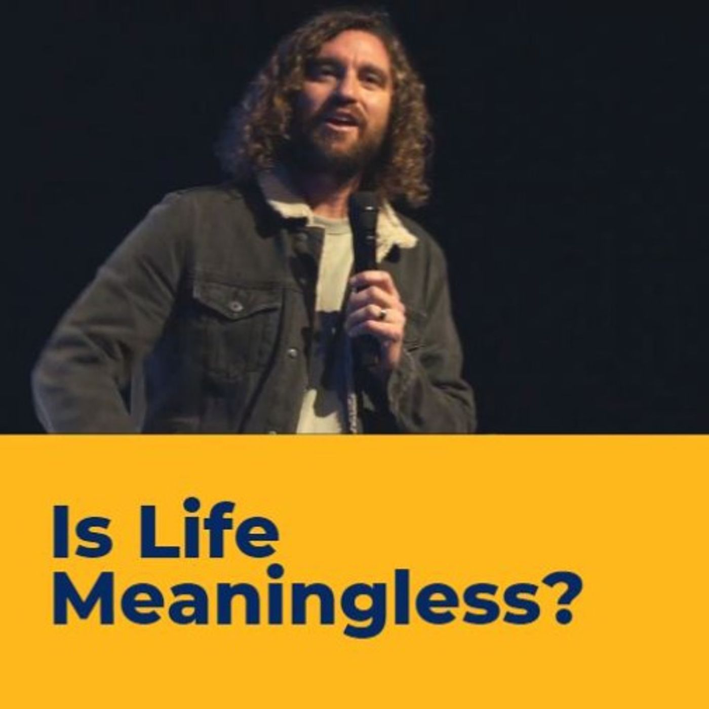 Is Life Meaningless episode artwork