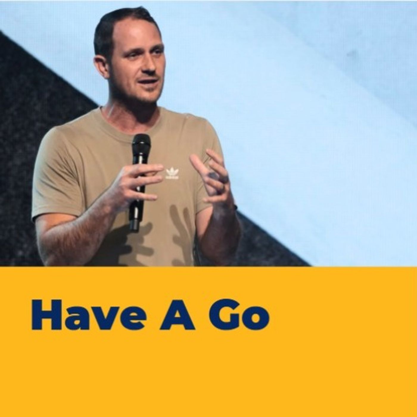 Have a Go - David Twigg