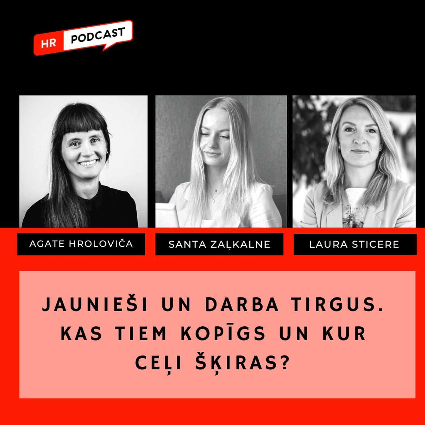 Jaunieši un darba tirgus - kas tiem kopīgs un kur ceļi šķiras? episode artwork