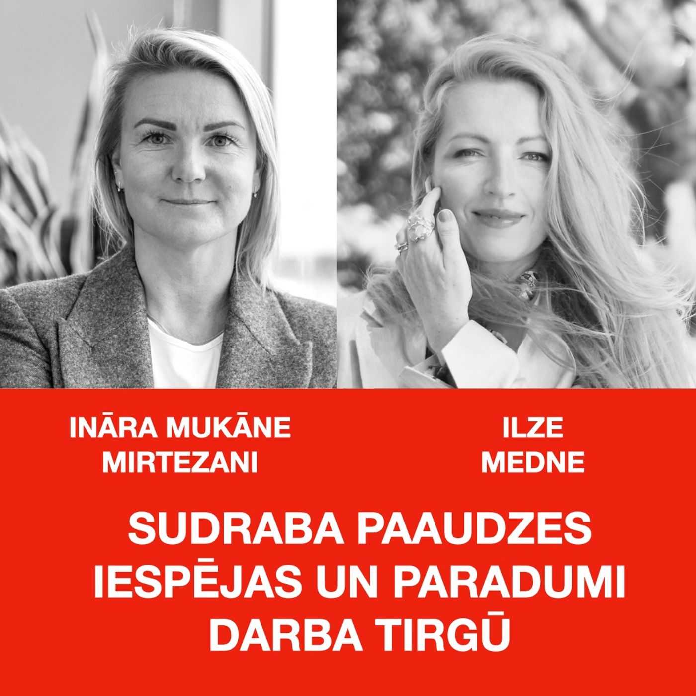 SUDRABA PAAUDZES IESPĒJAS UN PARADUMI DARBA TIRGŪ - LATVIJAS PASTS PIEREDZE