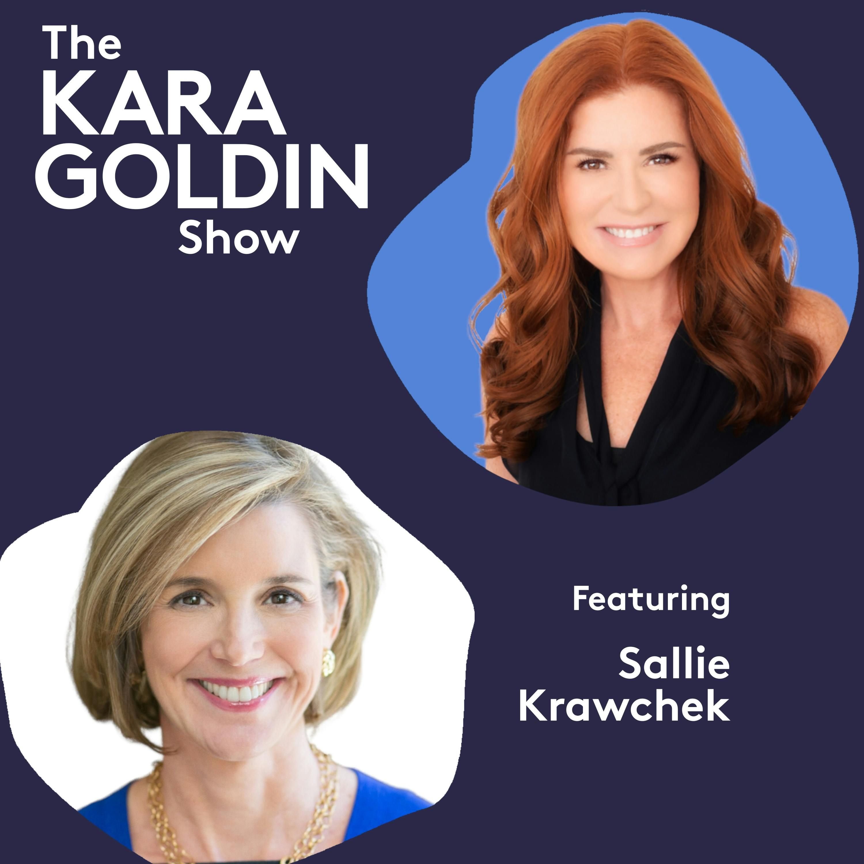 The Kara Goldin Show