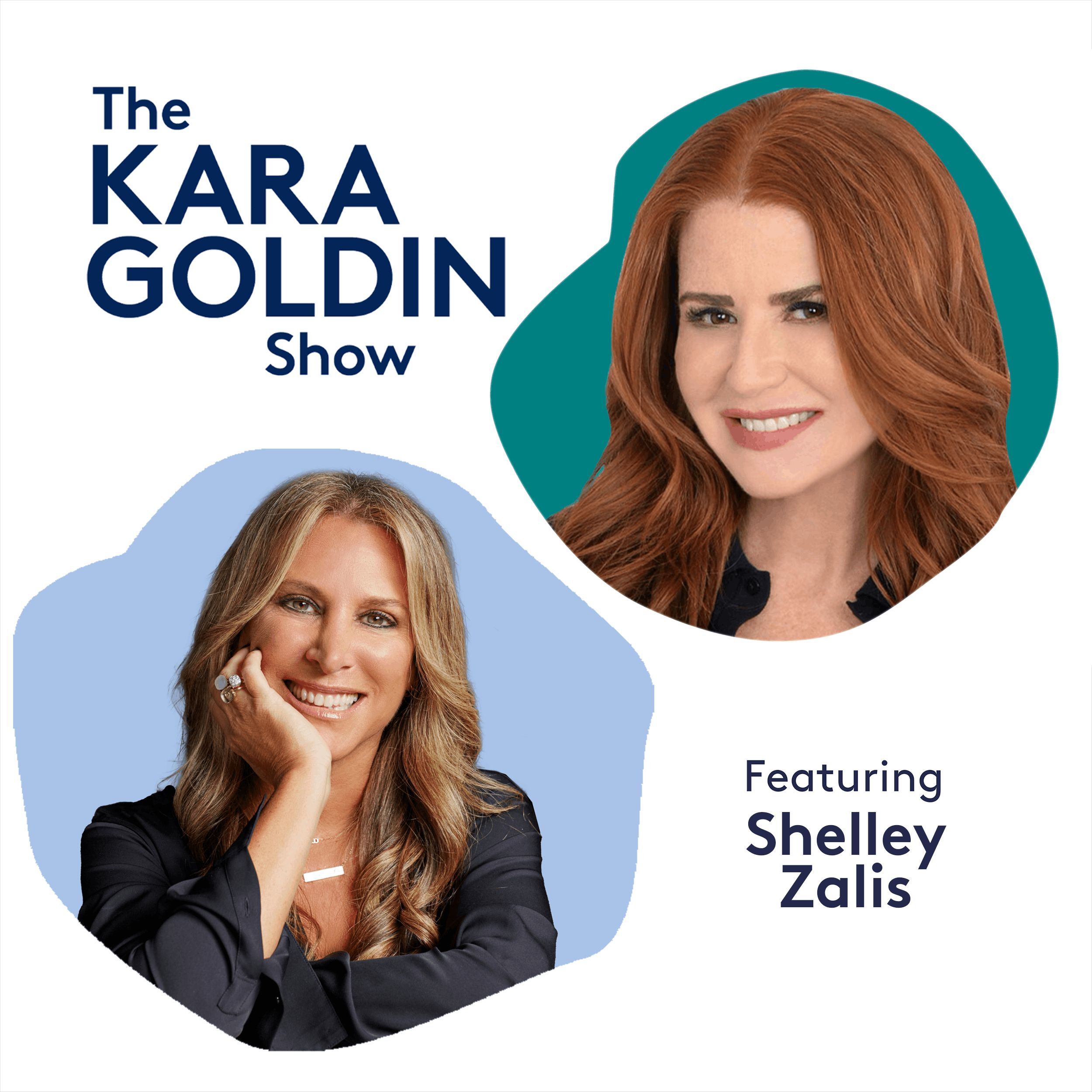 The Kara Goldin Show