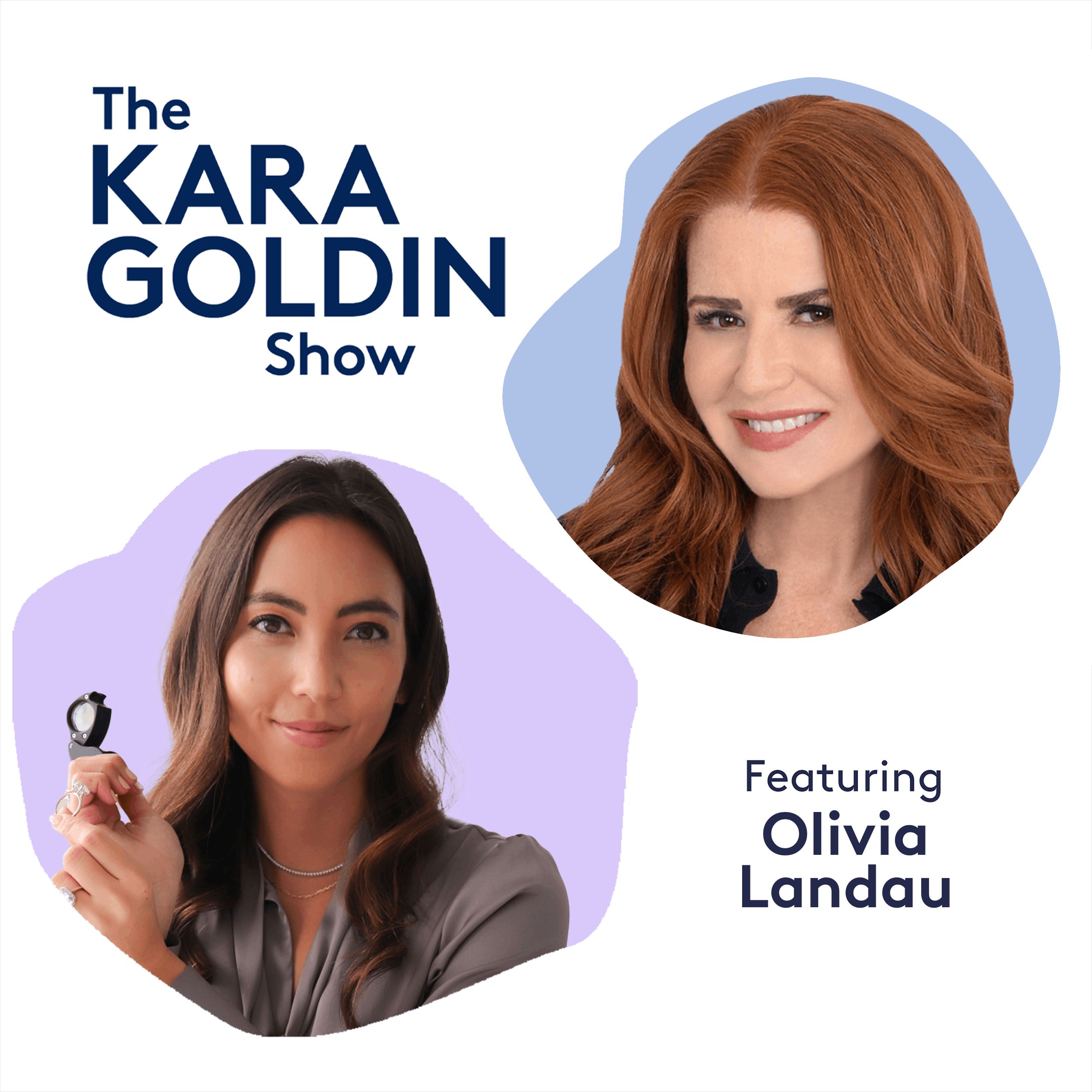 The Kara Goldin Show