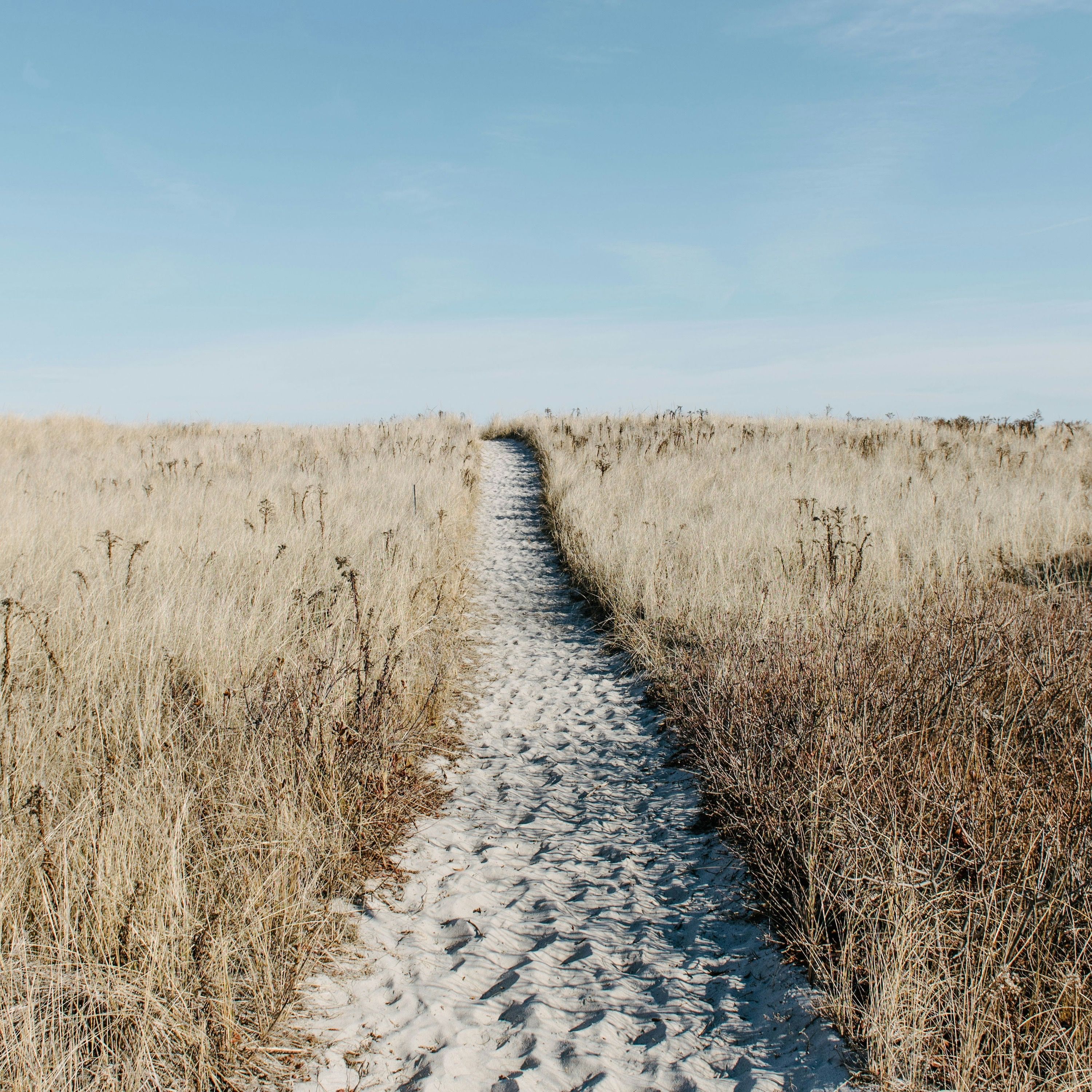 Progressive Christianity with Pastor Adam
