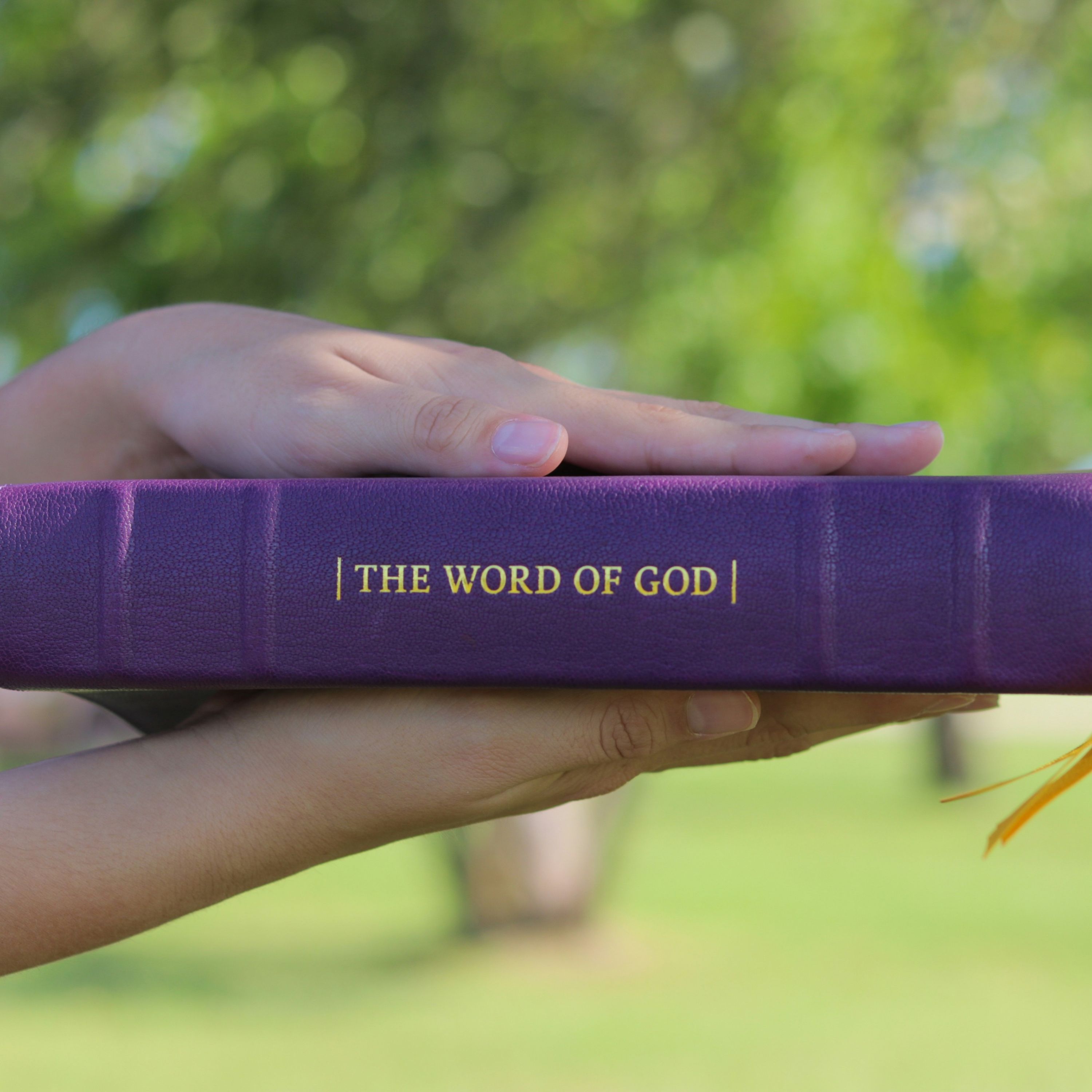 Progressive Christianity with Pastor Adam