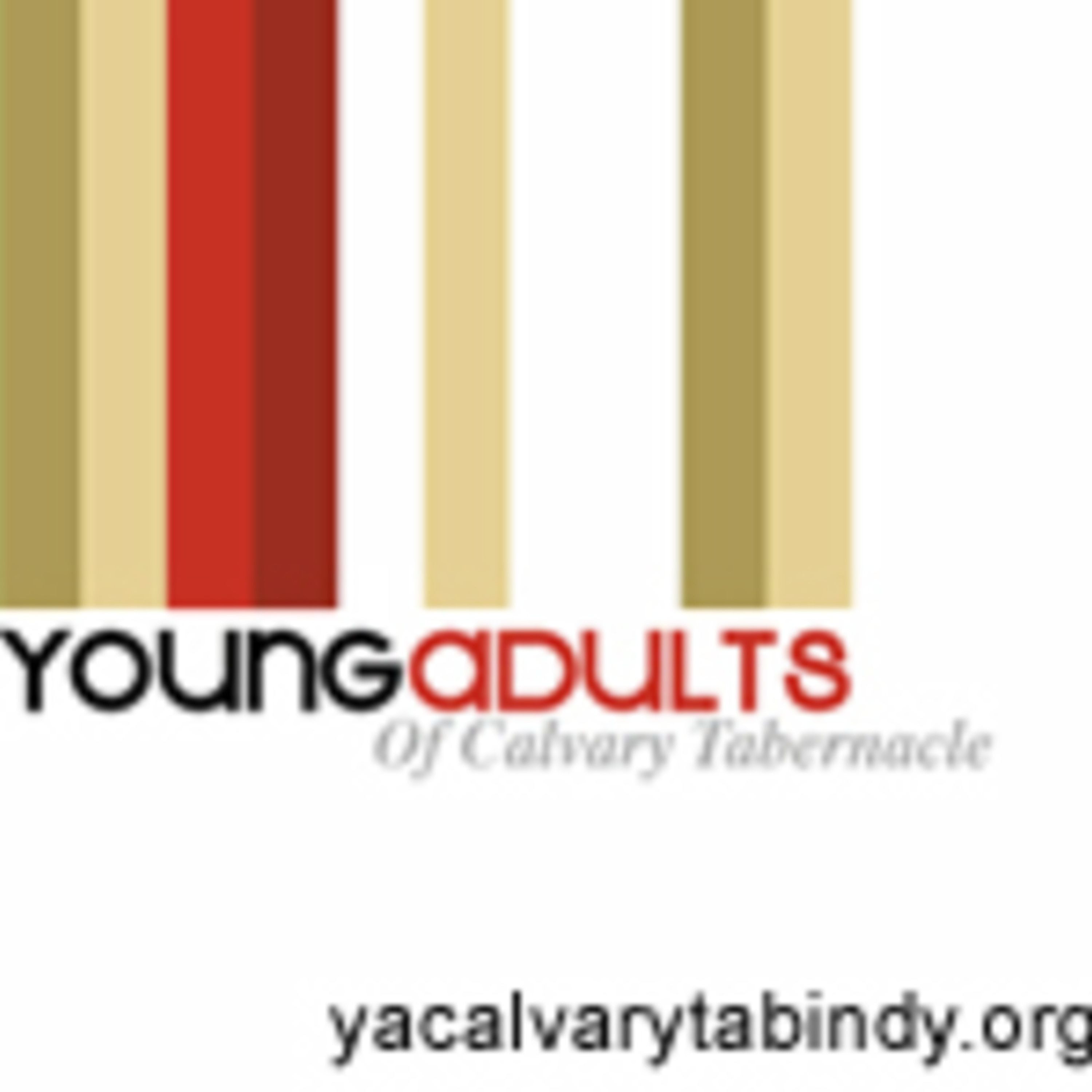10 Principles of Eliminating Faulty Mate Selection episode artwork