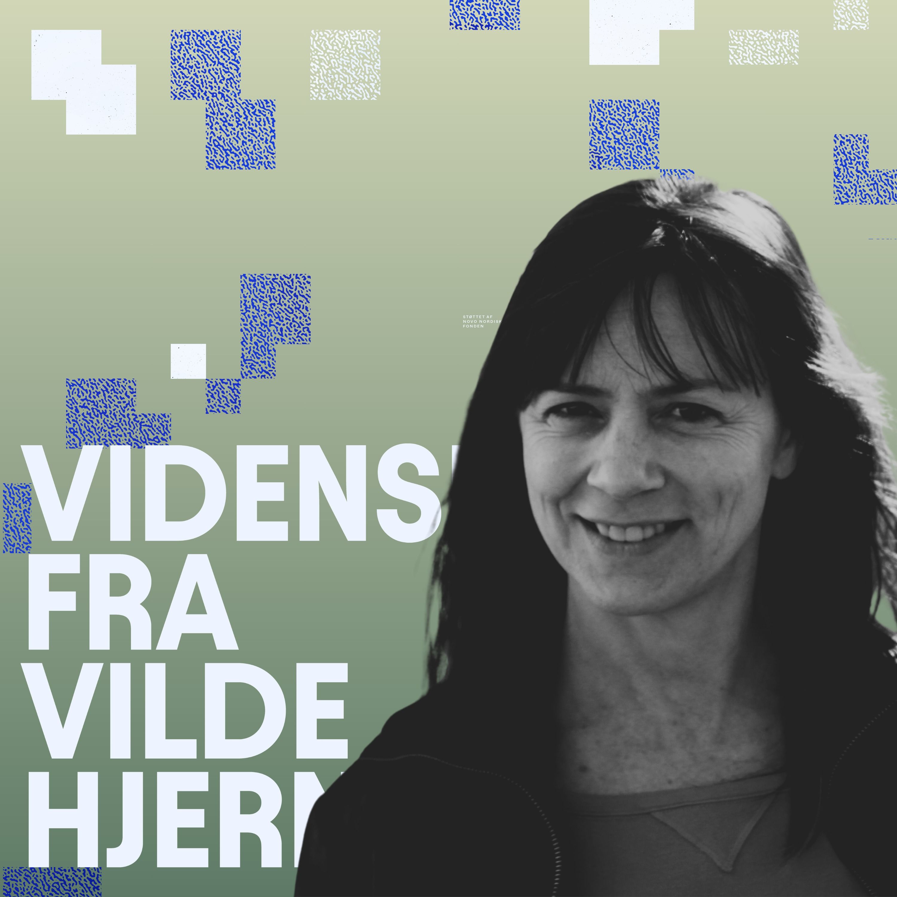 Da salmonelladetektiven måtte løfte blikket – Liza Rosenbaum Nielsen, veterinær epidemiolog, om at få identitetskrise og udvide sit forskningsfelt