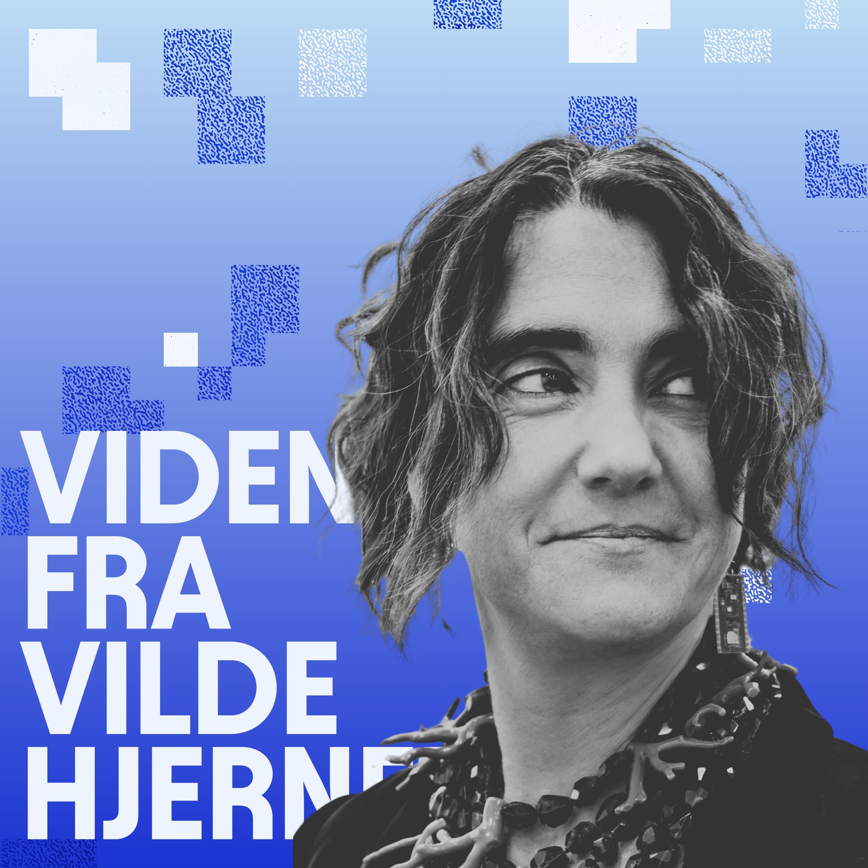 IT-støttet samarbejde: Når teknologi gør os bedre– Pernille Bjørn, datalog, kaster nyt lys på forholdet mellem menneske og maskine