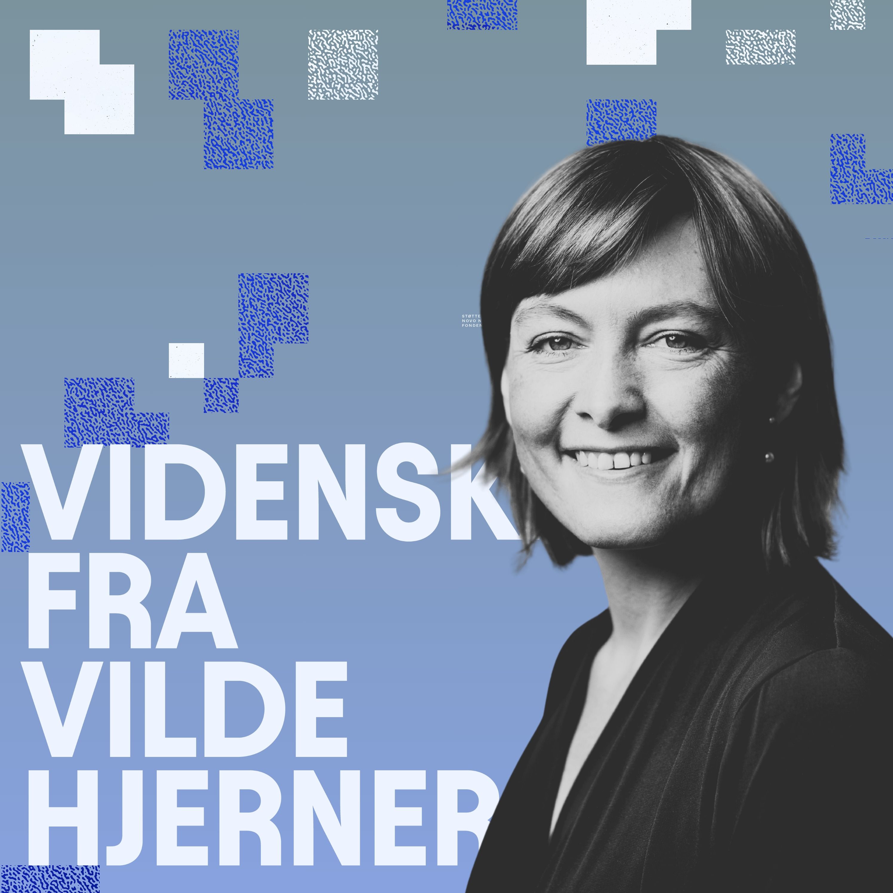 Diplomati: Magtspillet i dit SoMe-feed – Rebecca Adler-Nissen, politolog, om hvordan tech-udvikling former geopolitik