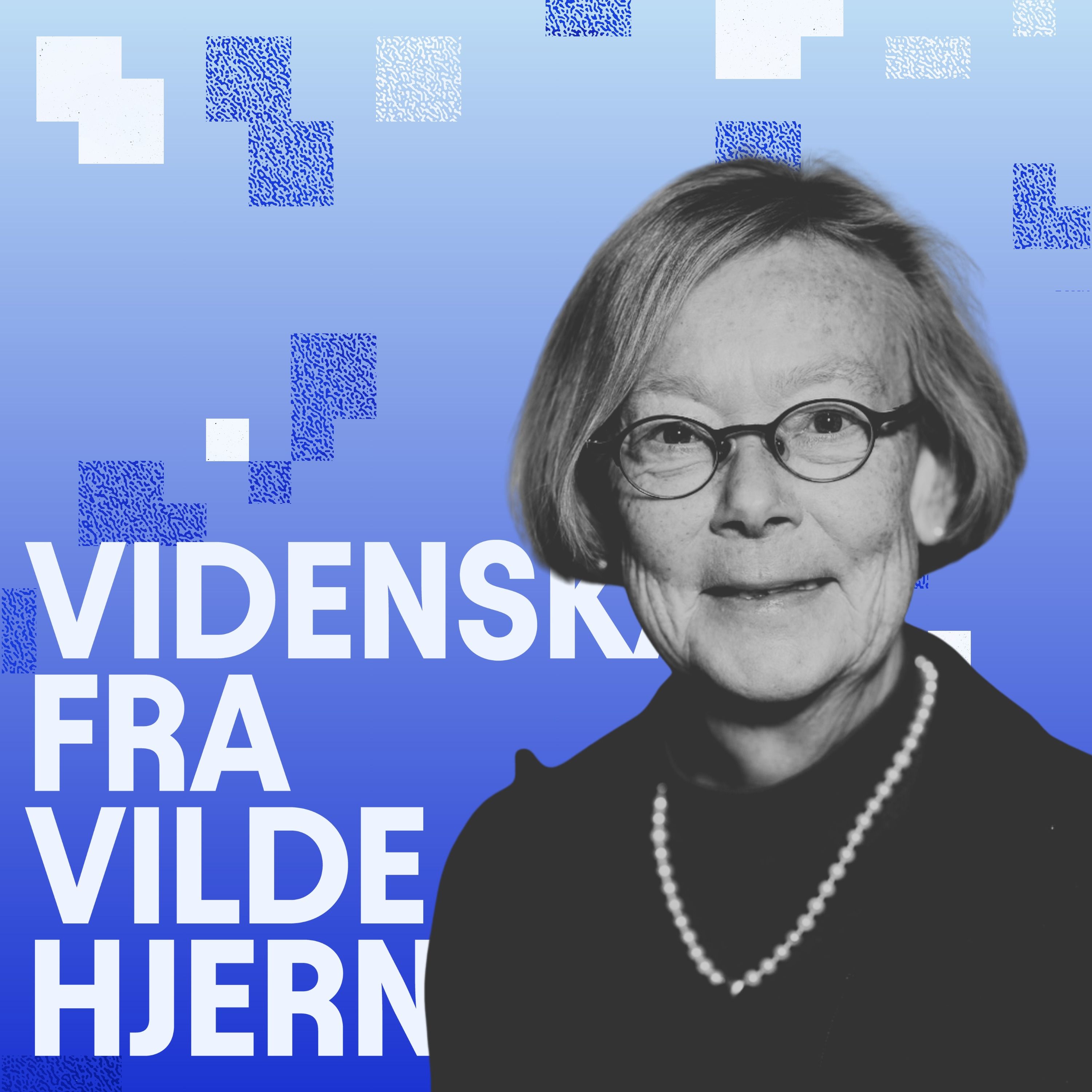 Hvad gensekvensanalyser afslører – Lone Gram, bakteriolog, om mikroorganismers fantastiske egenskaber