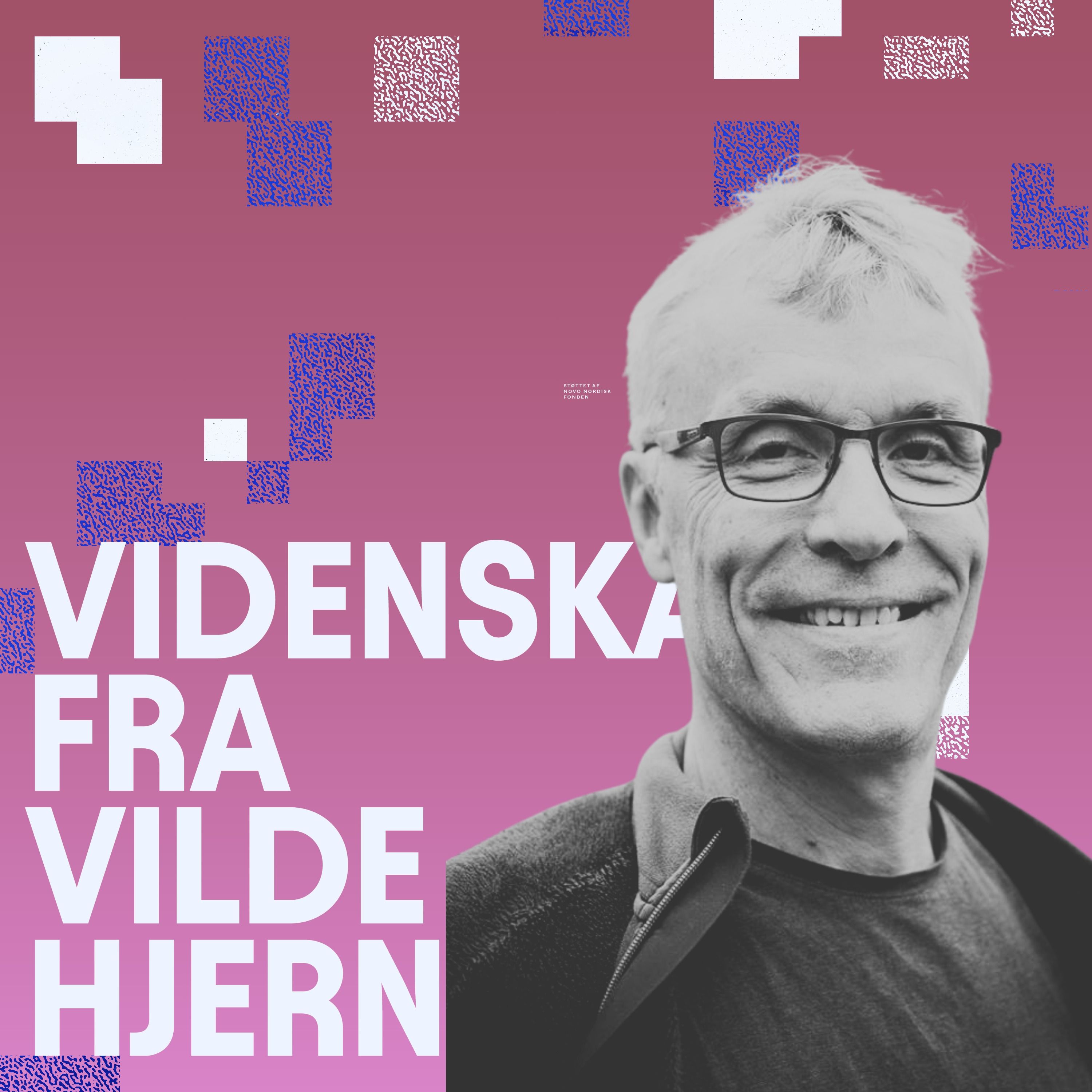 Hvordan beregner man viltre krokodiller – Klaus Mølmer, kvantefysiker, om at se fysik forfra